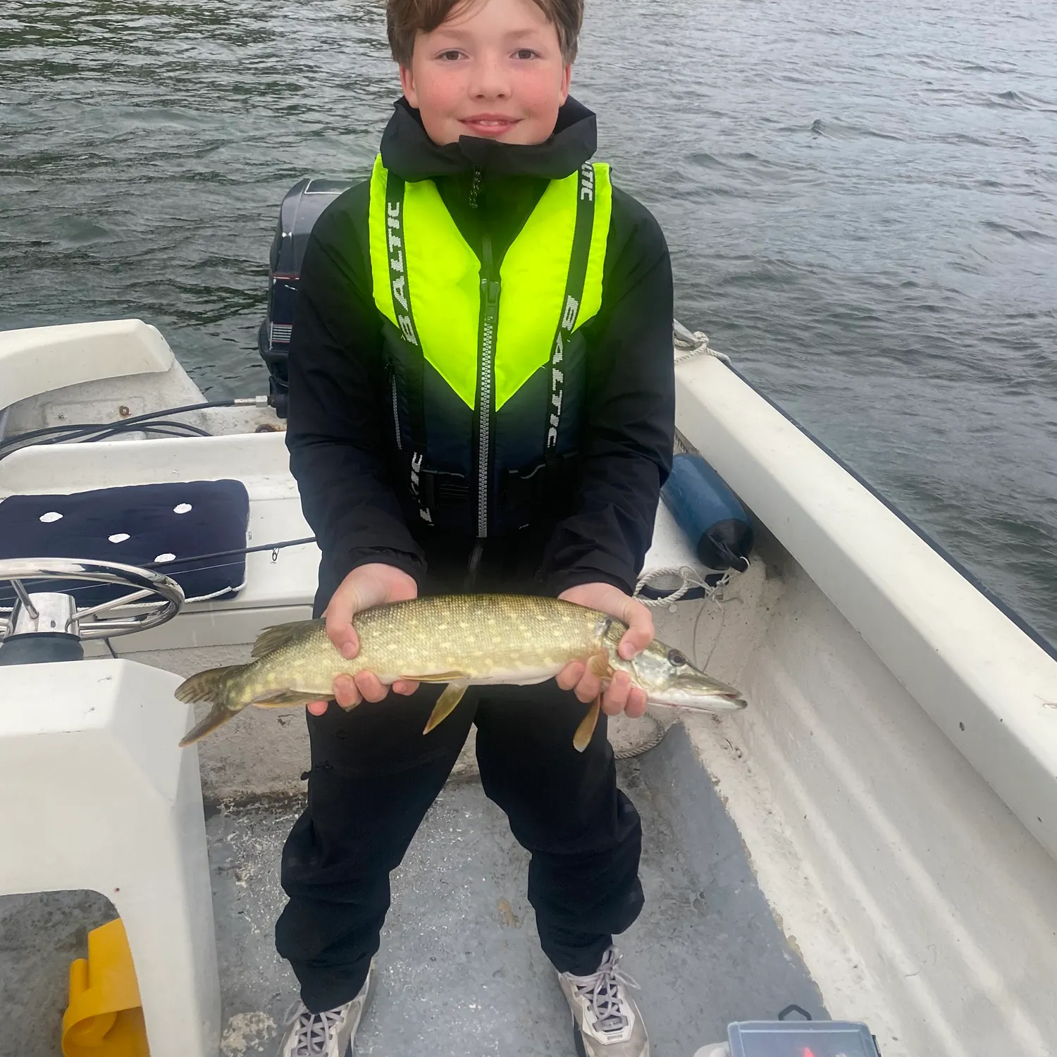 Northern pike caught on Fishbrain