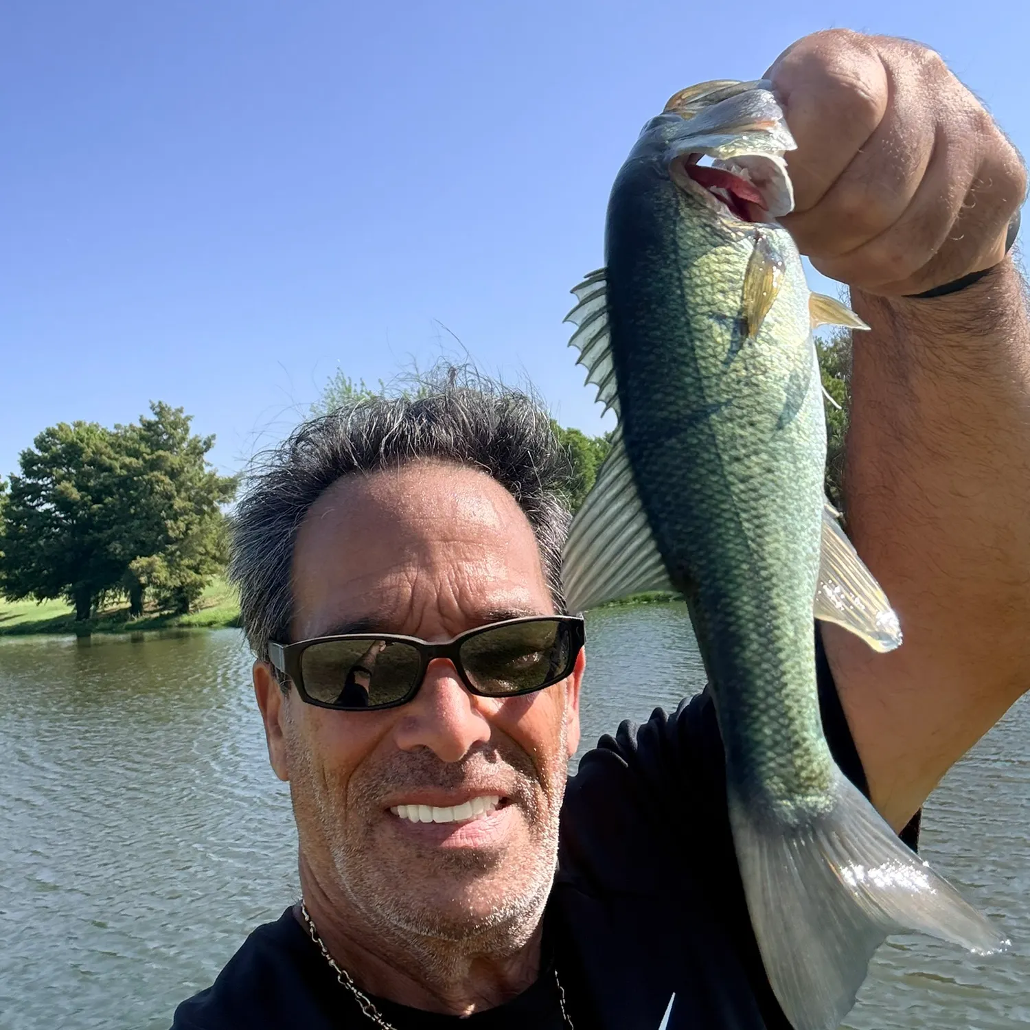 Largemouth bass caught on Fishbrain