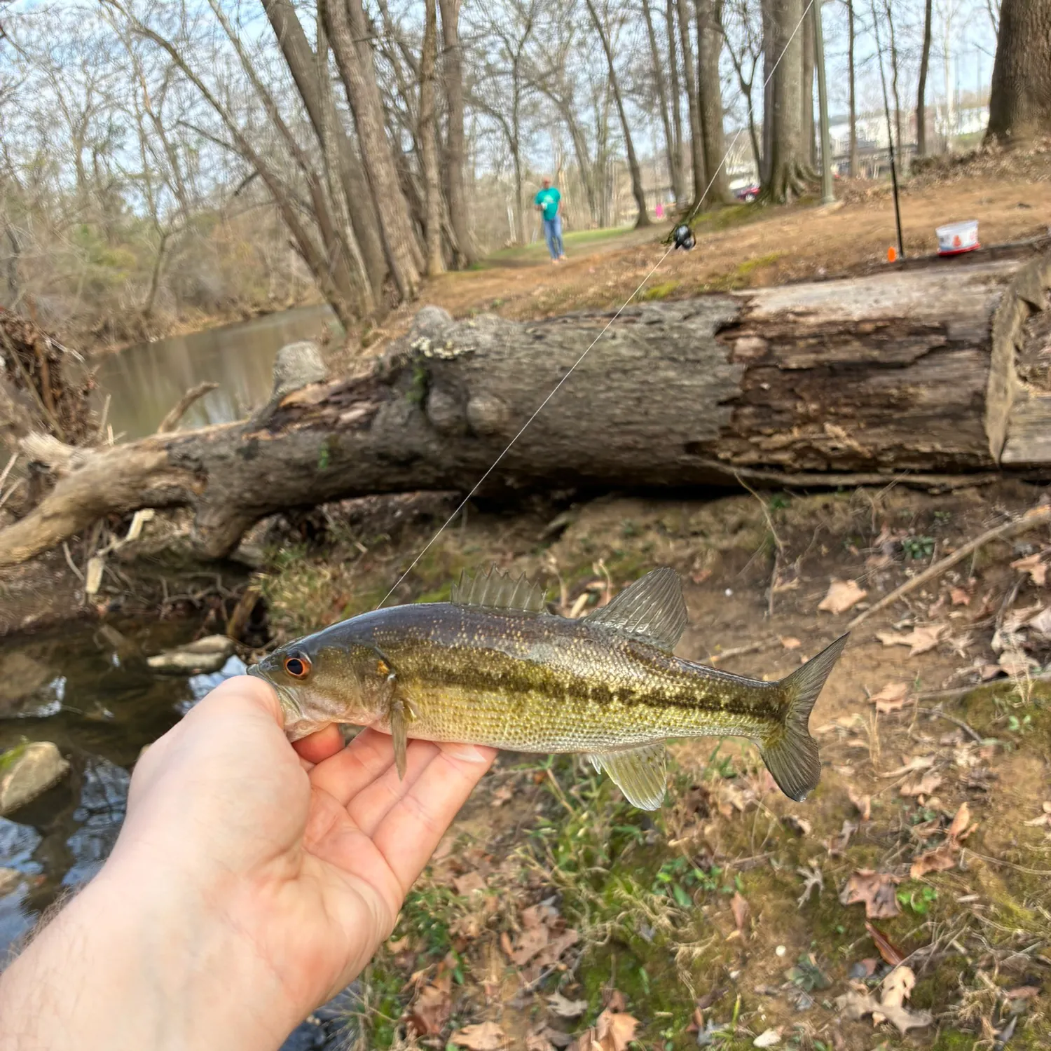 Alabama bass caught on Fishbrain