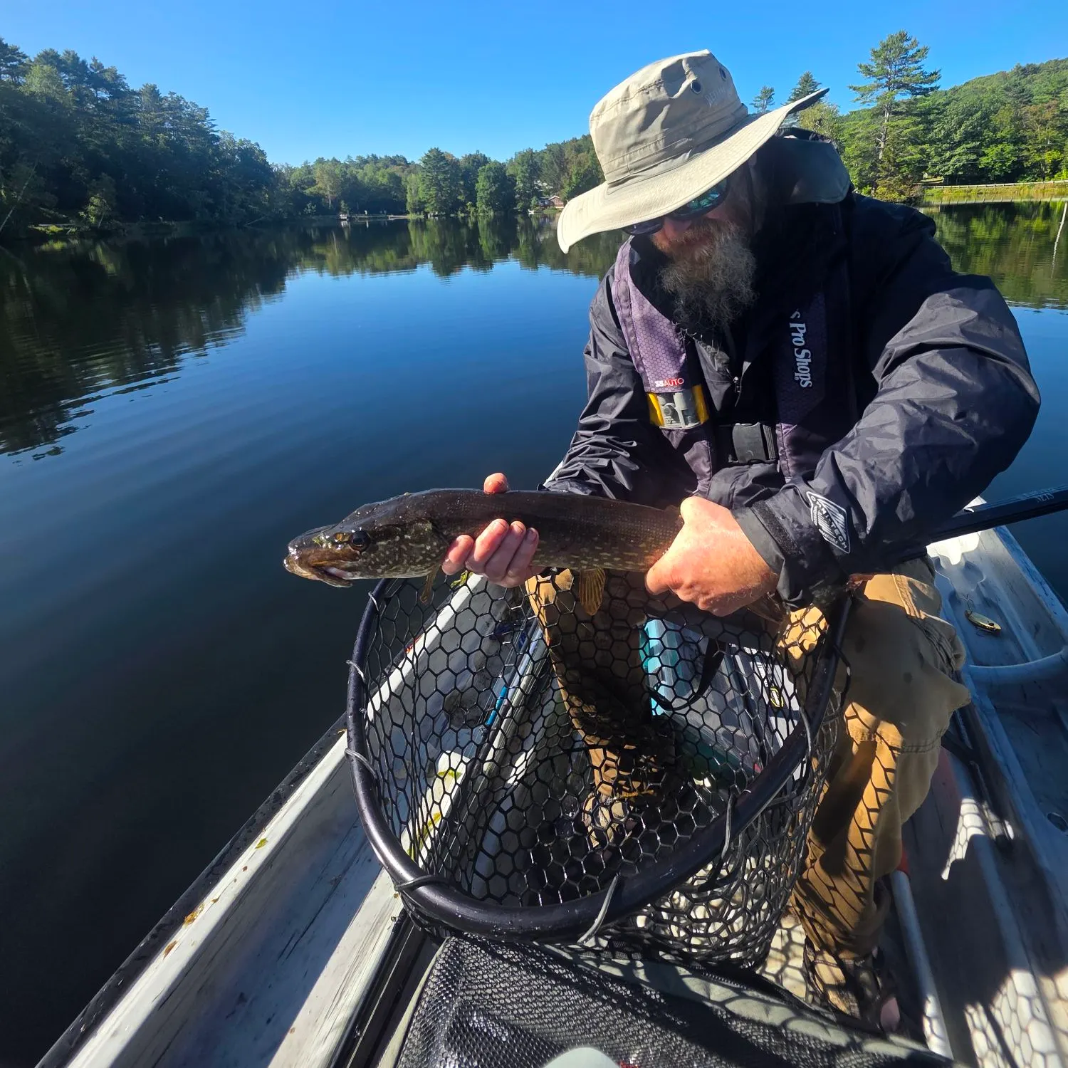 Northern pike caught on Fishbrain