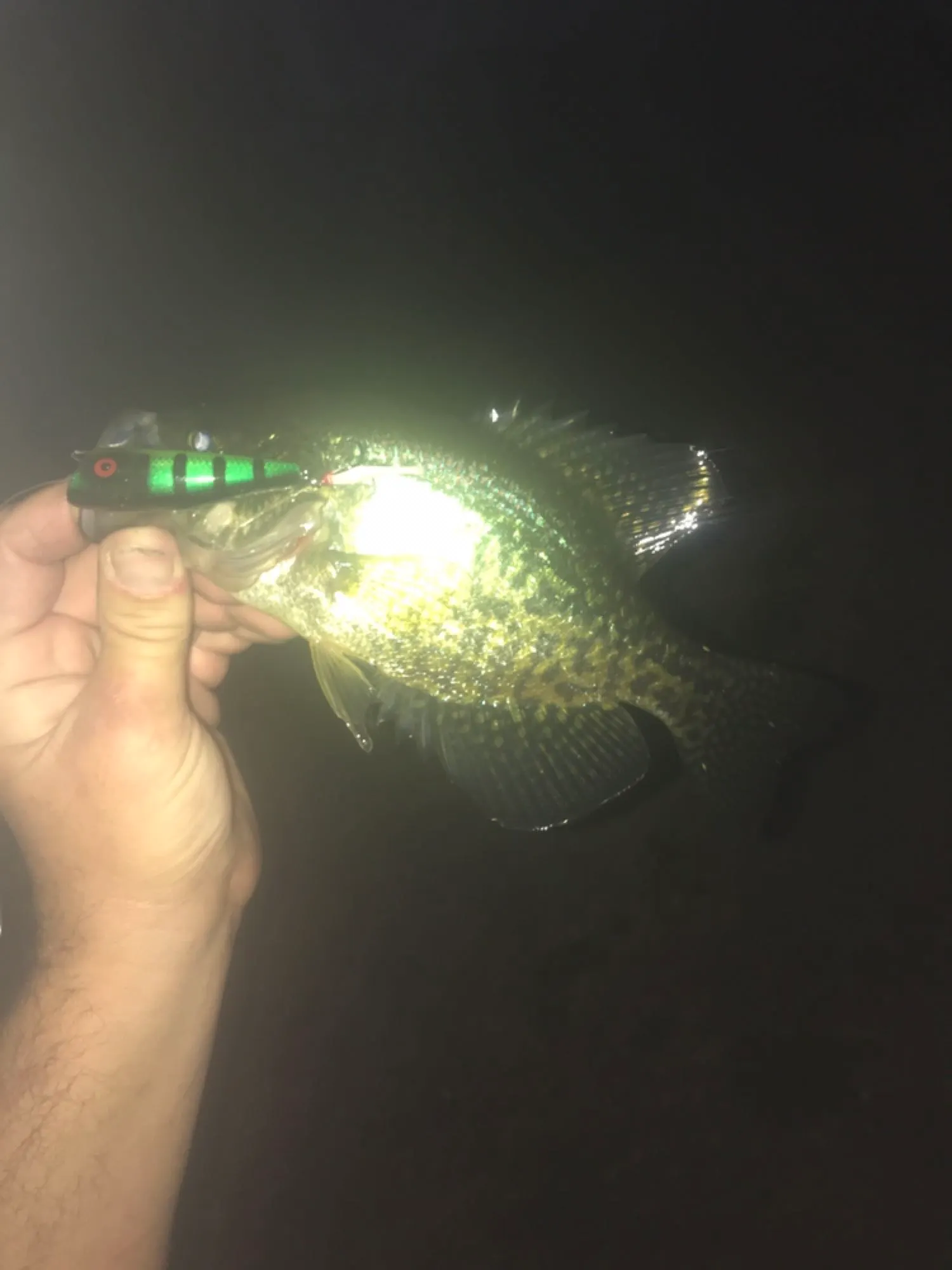 Post image from cmagsam