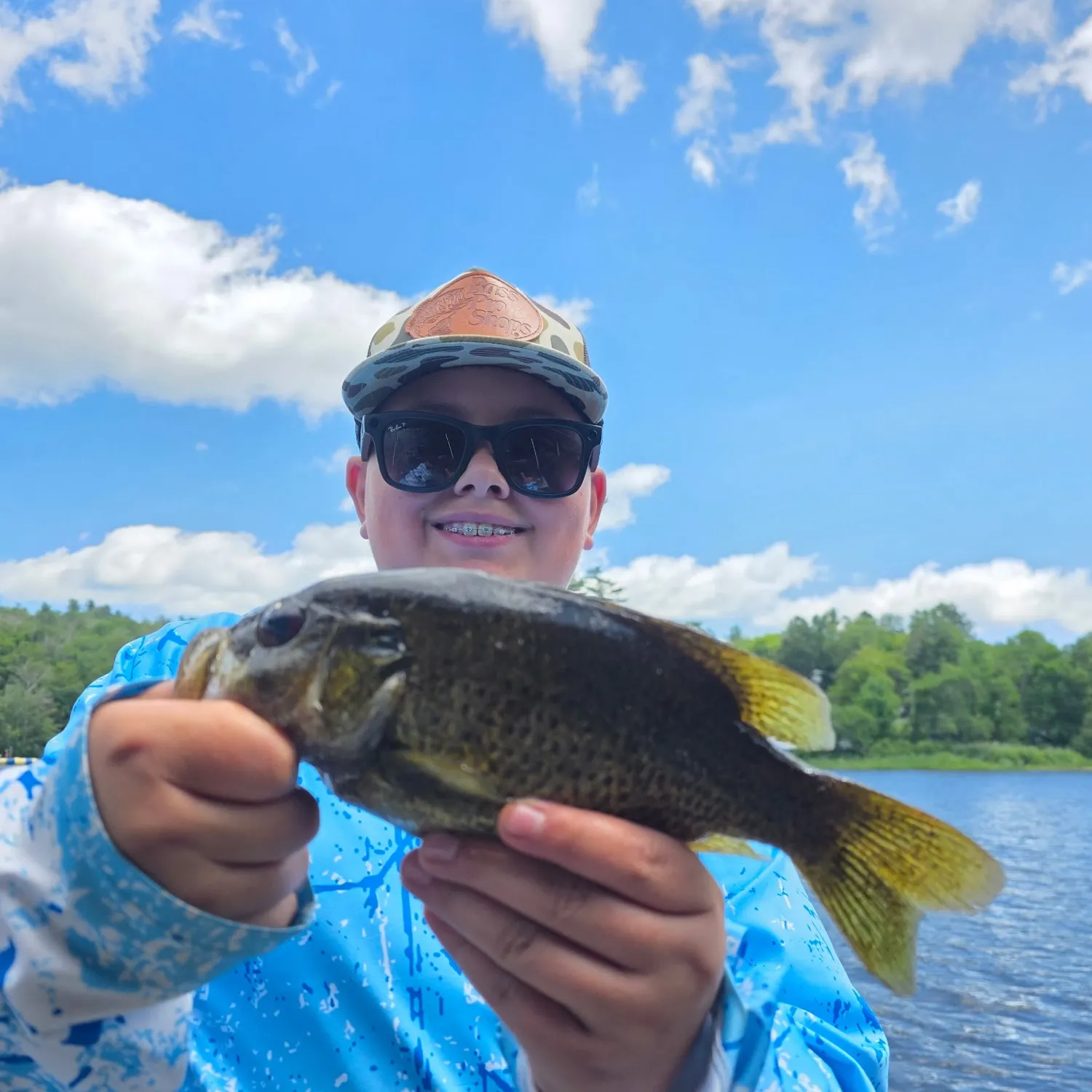 Rock bass caught on Fishbrain