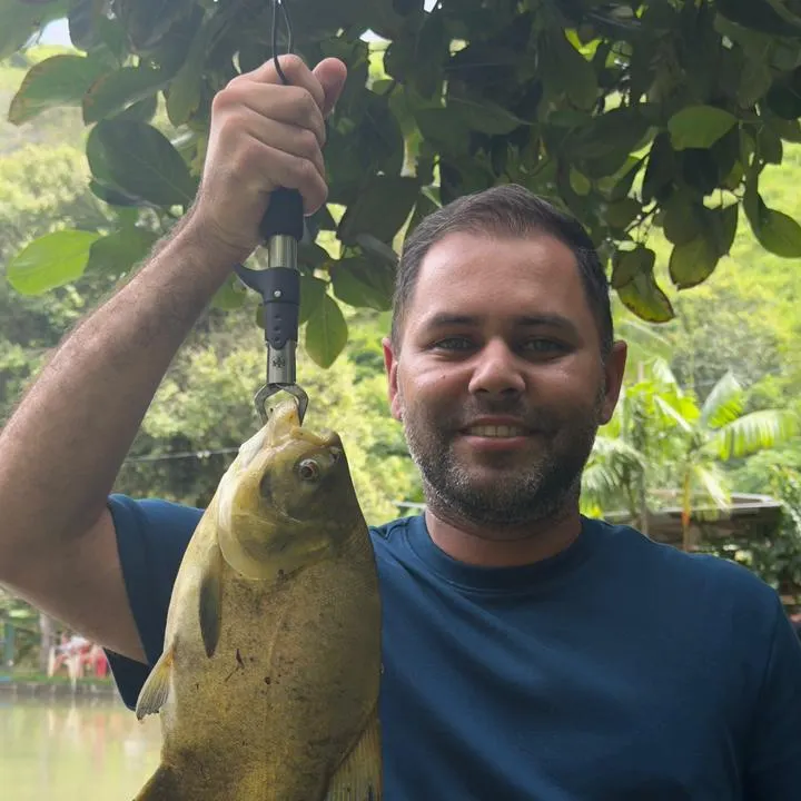 The most recent Black pacu catches on Fishbrain