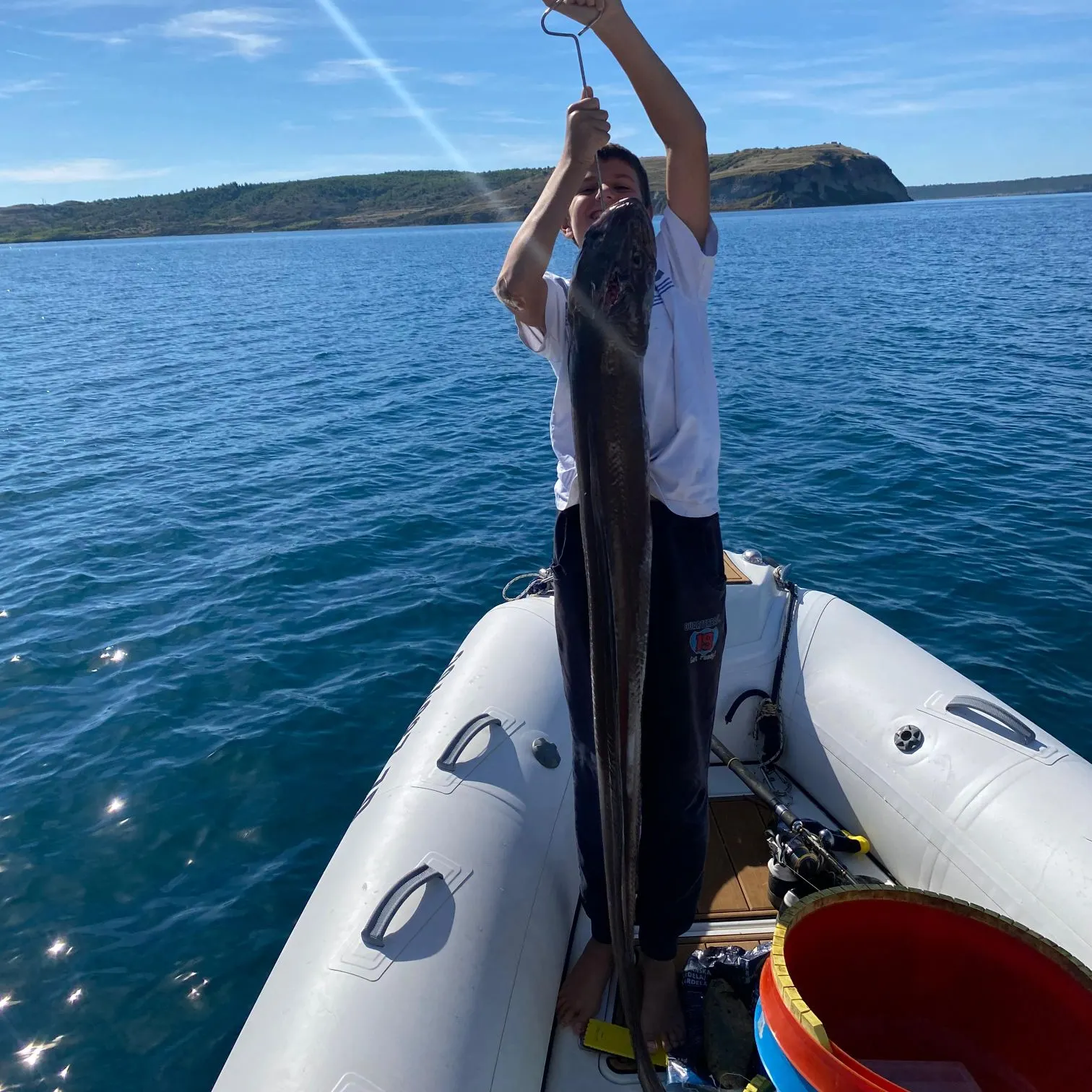 The most recent European conger catches on Fishbrain