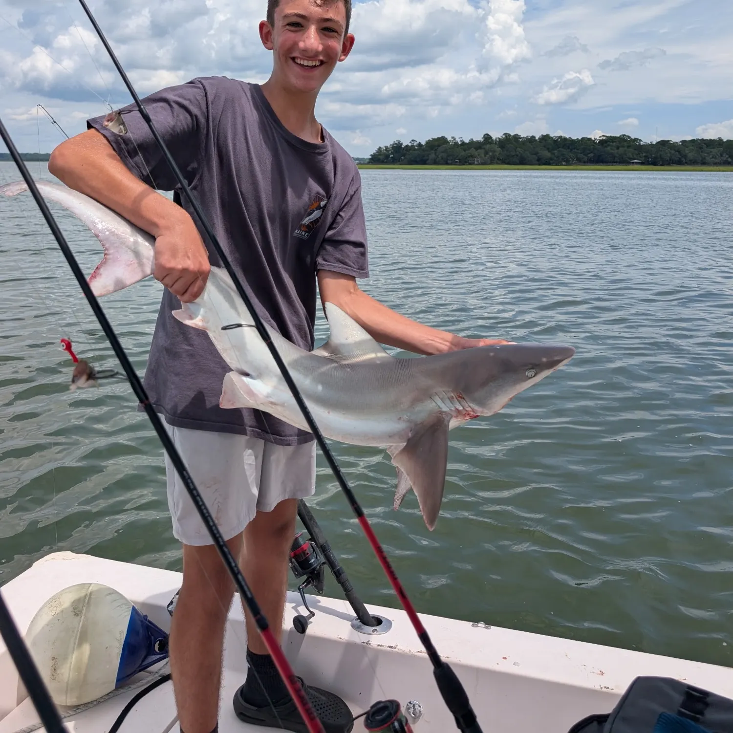 The most recent Lemon shark catches on Fishbrain