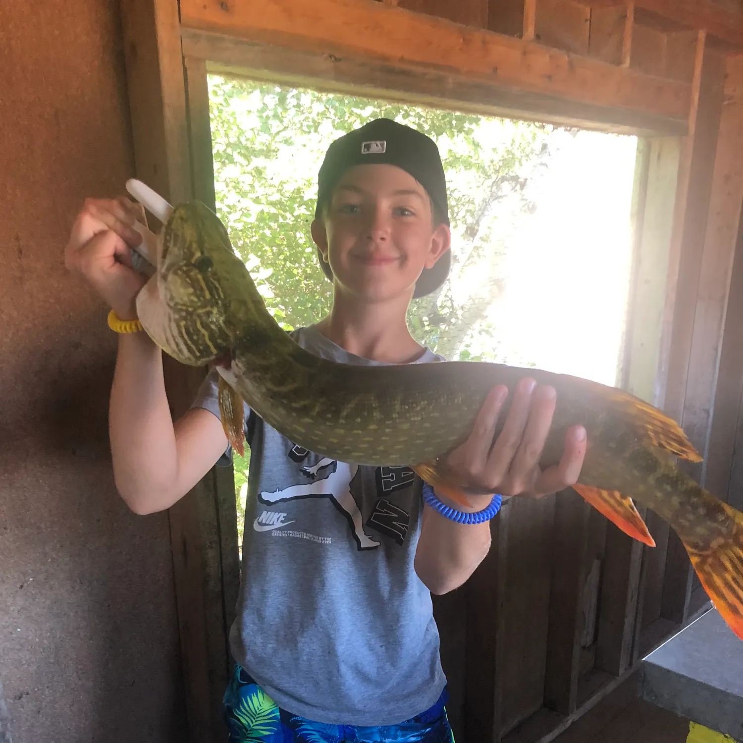 Northern pike caught on Fishbrain
