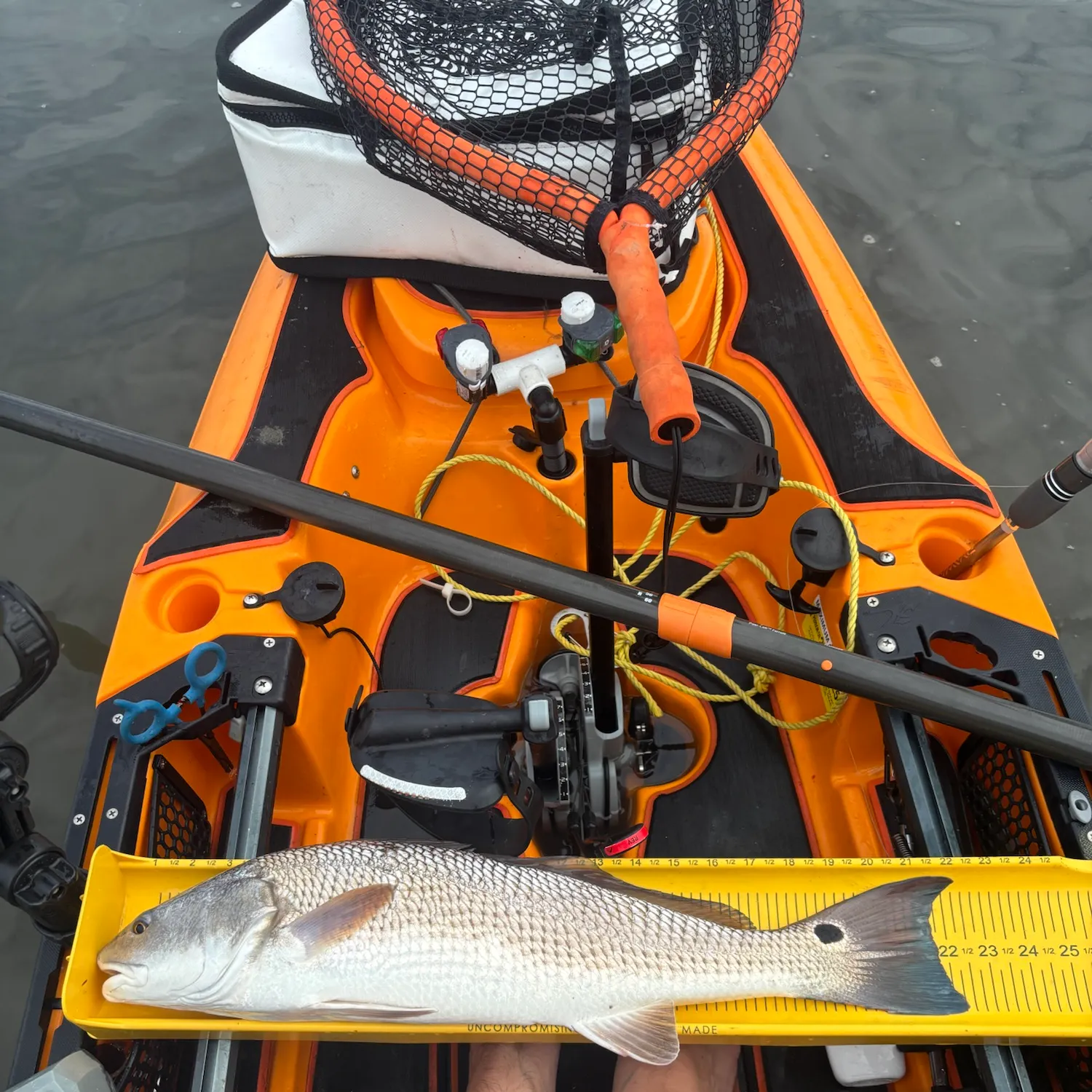 Red drum caught on Fishbrain
