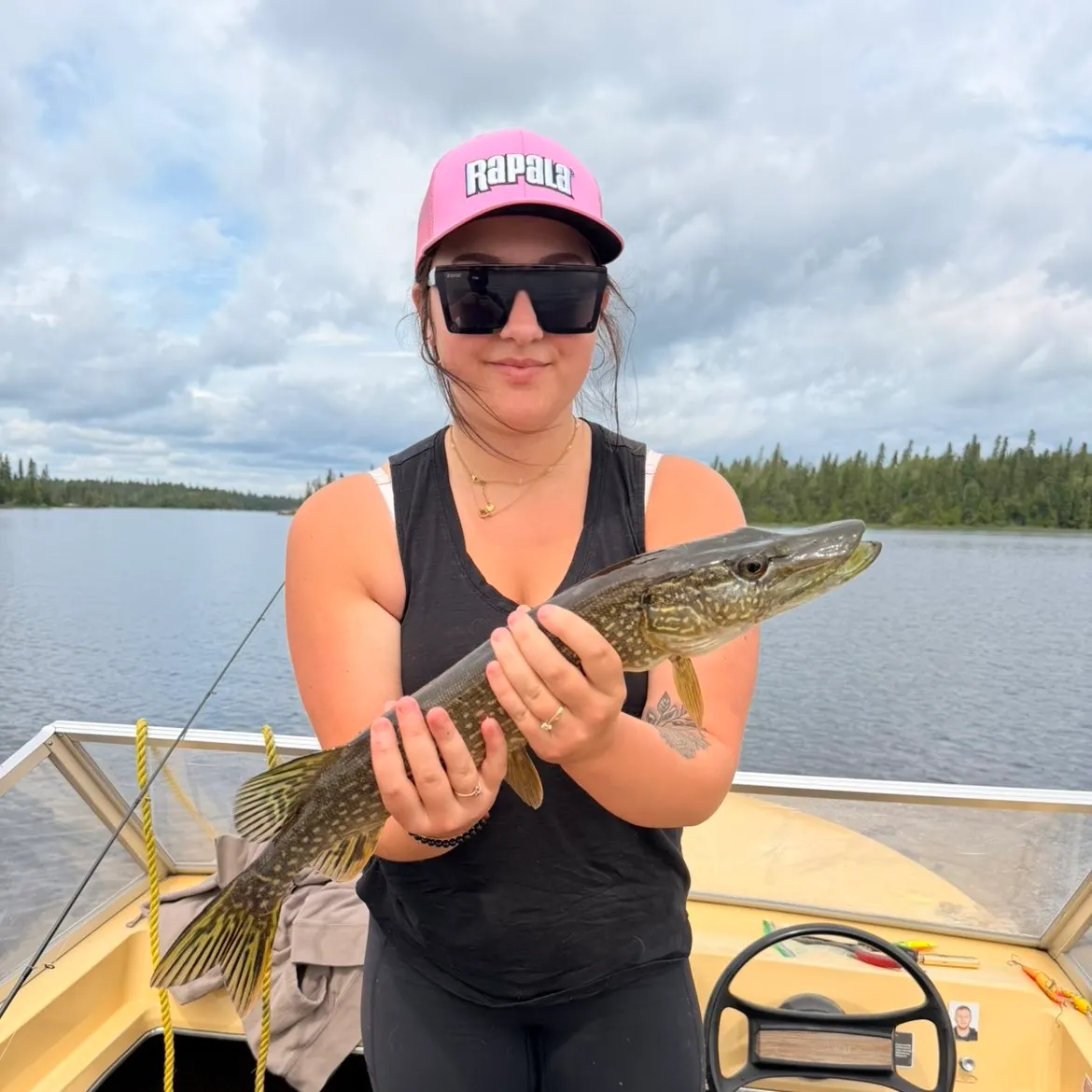 Northern pike caught on Fishbrain