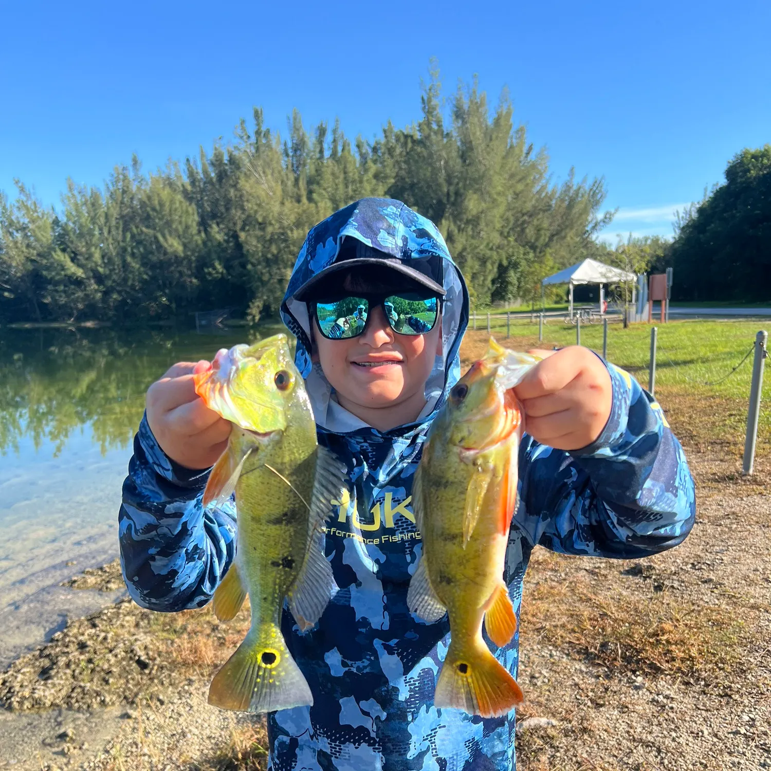 Butterfly peacock bass caught on Fishbrain
