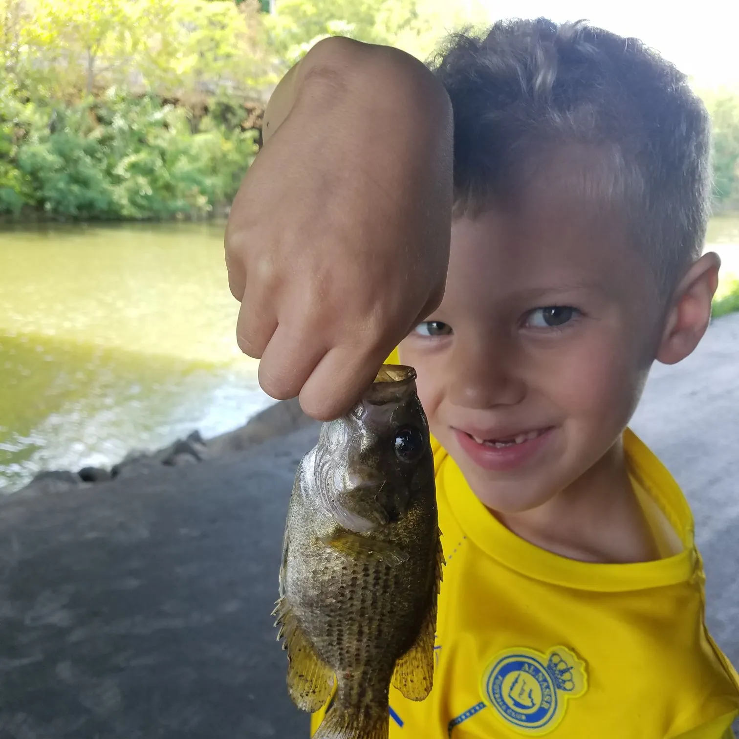 Rock bass caught on Fishbrain