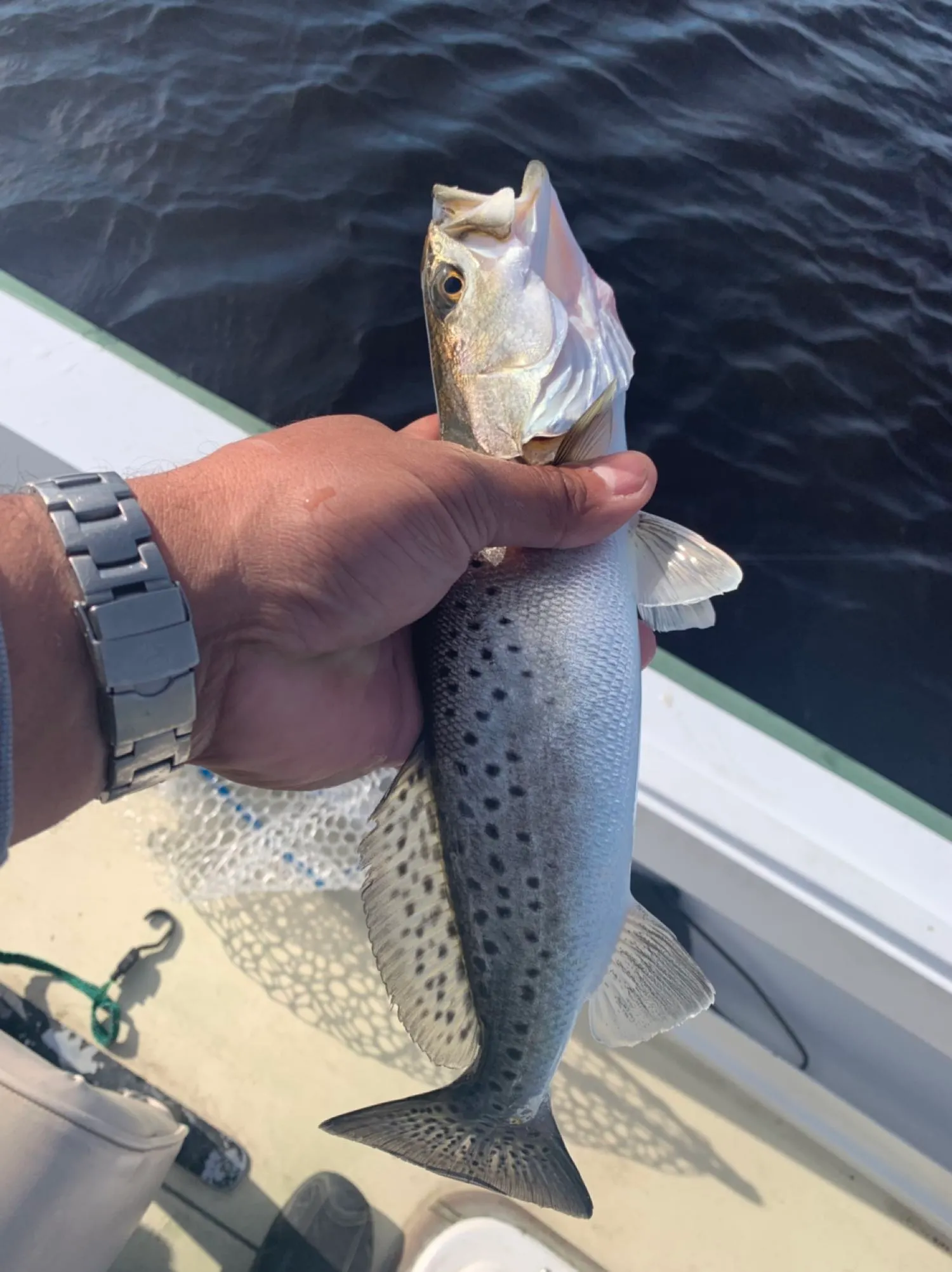 Post image from Condition1Fishing