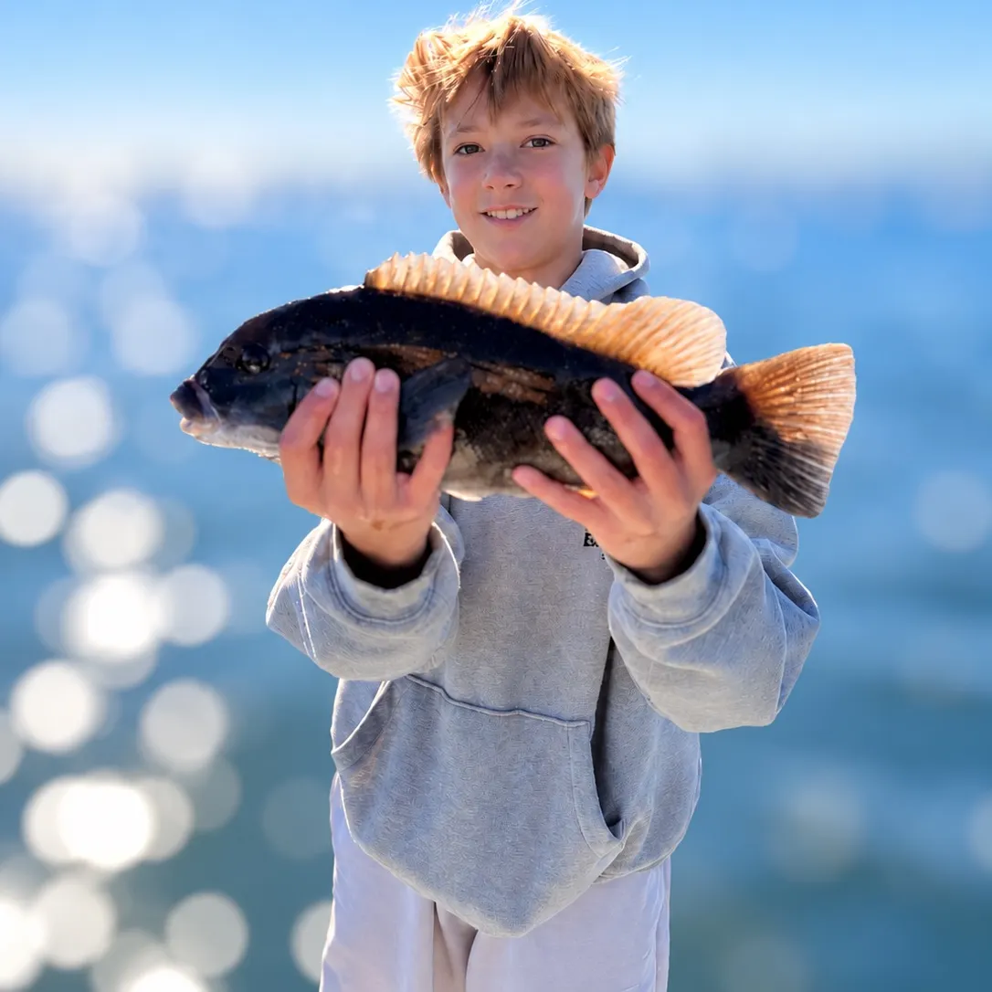 Tautog caught on Fishbrain