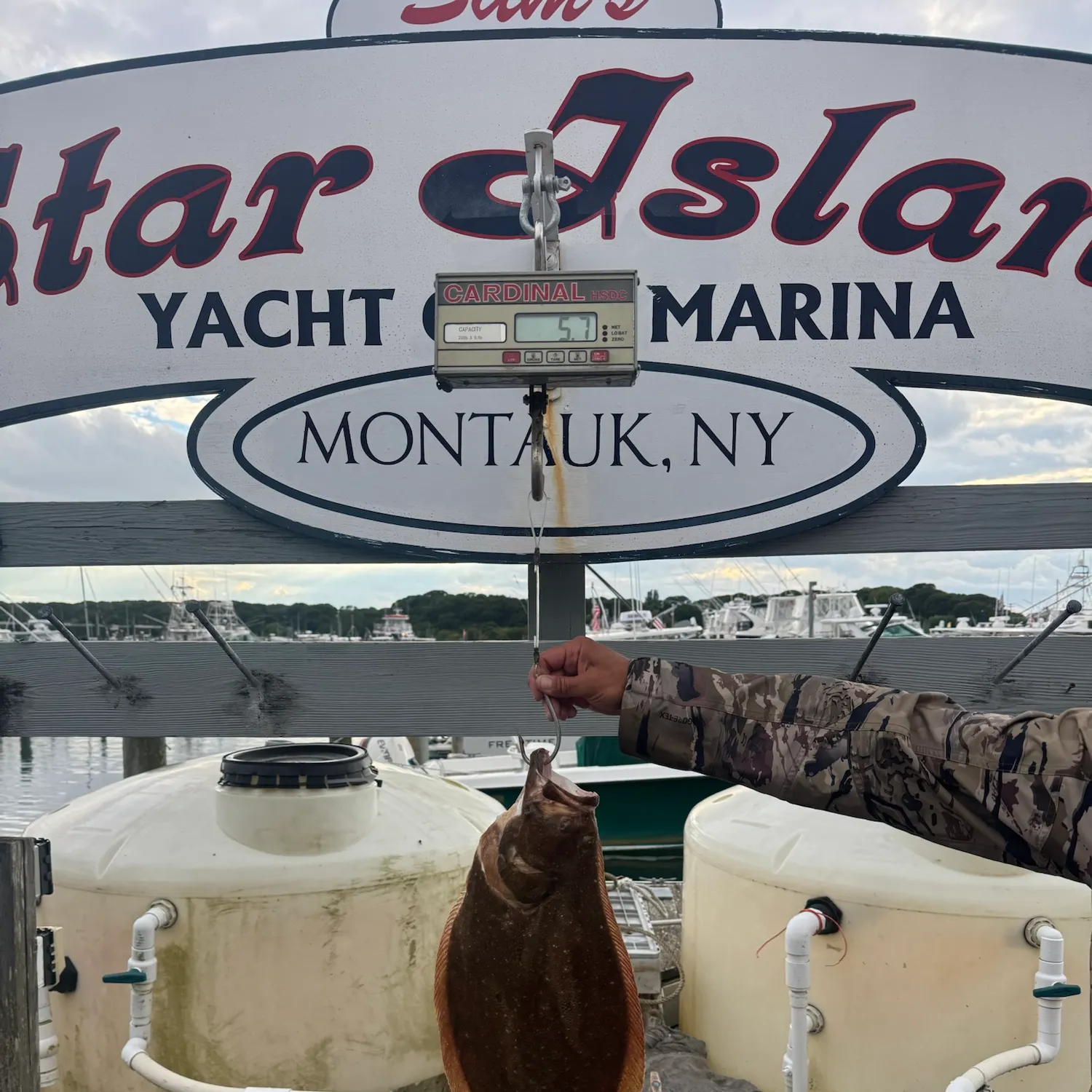 Summer flounder caught on Fishbrain
