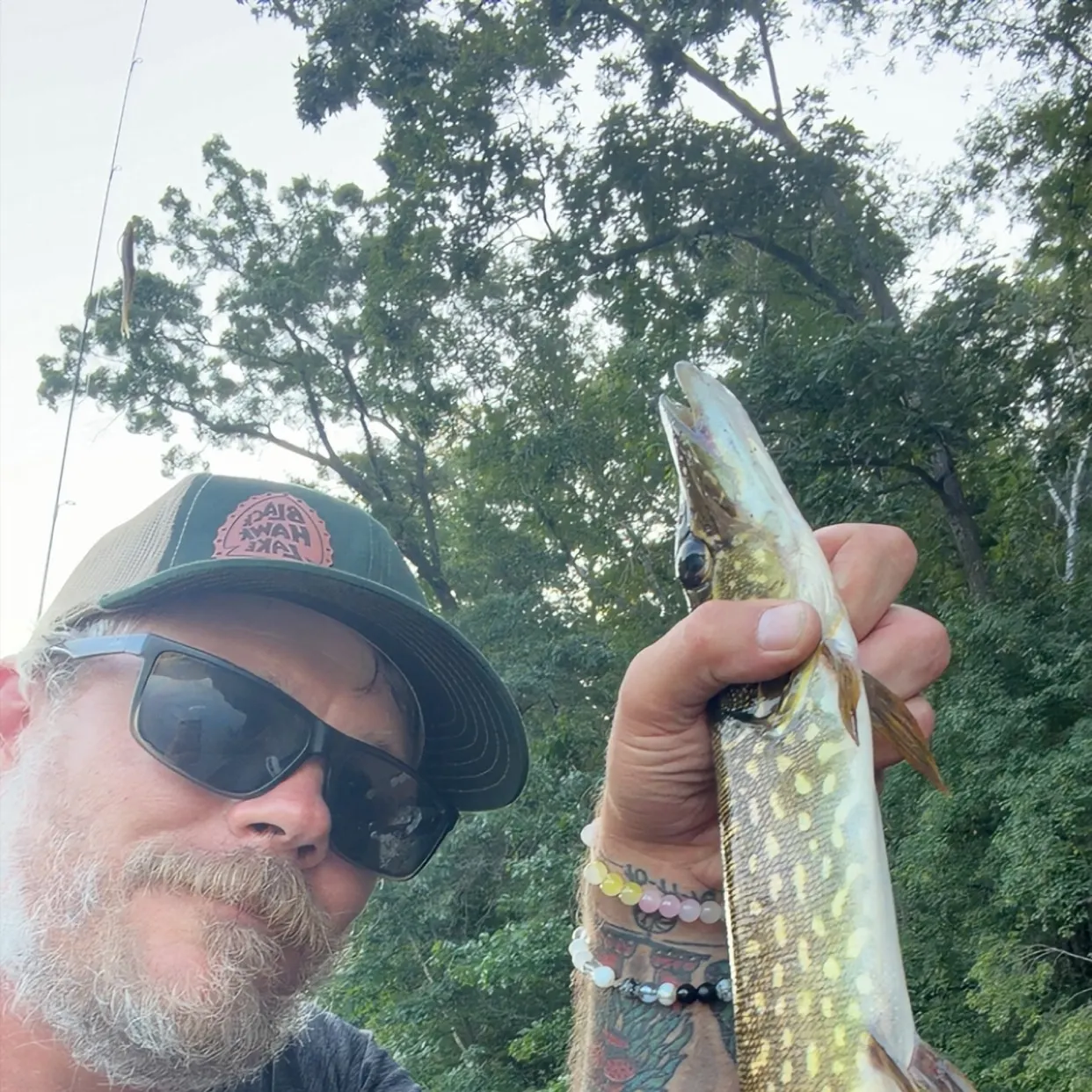 Northern pike caught on Fishbrain