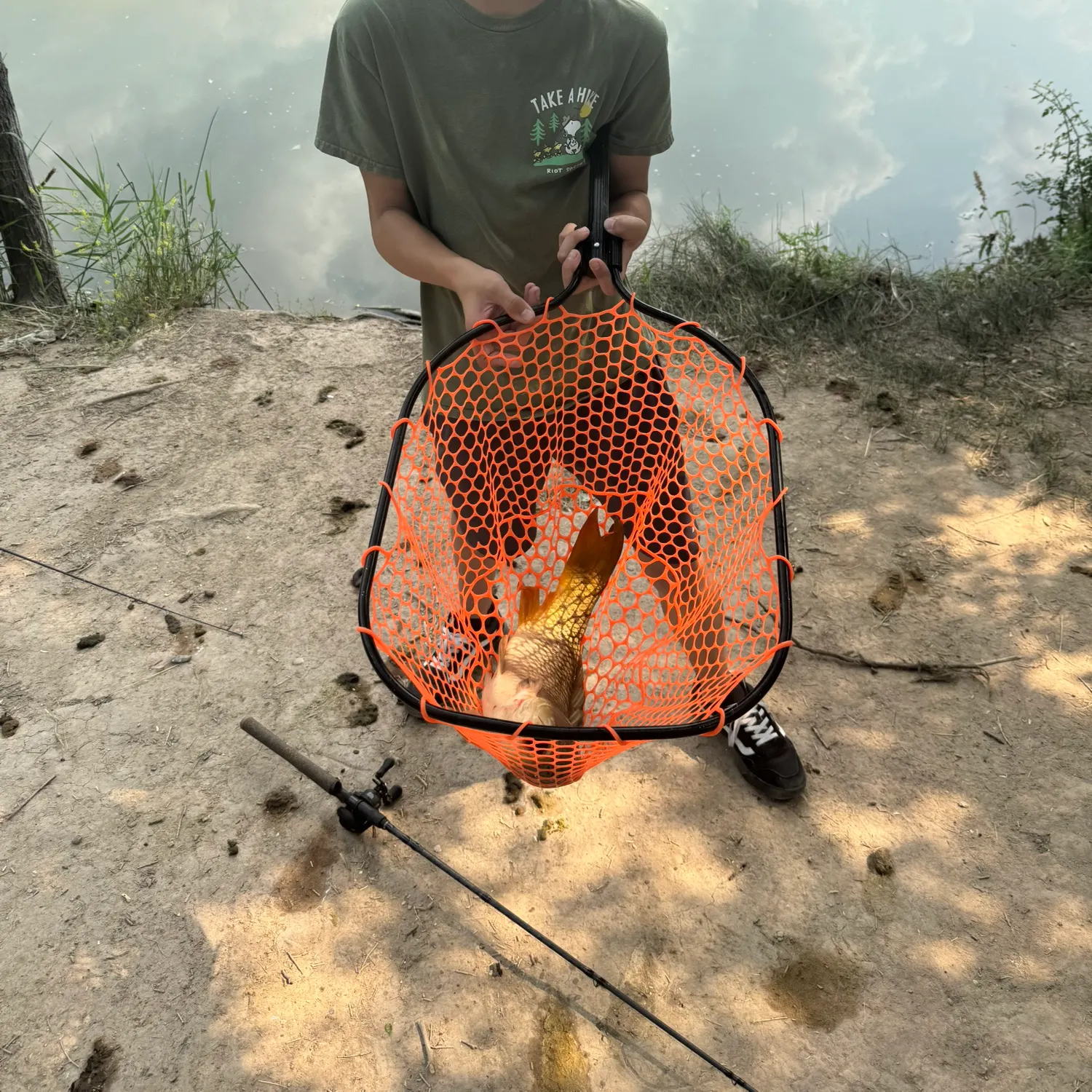 catch