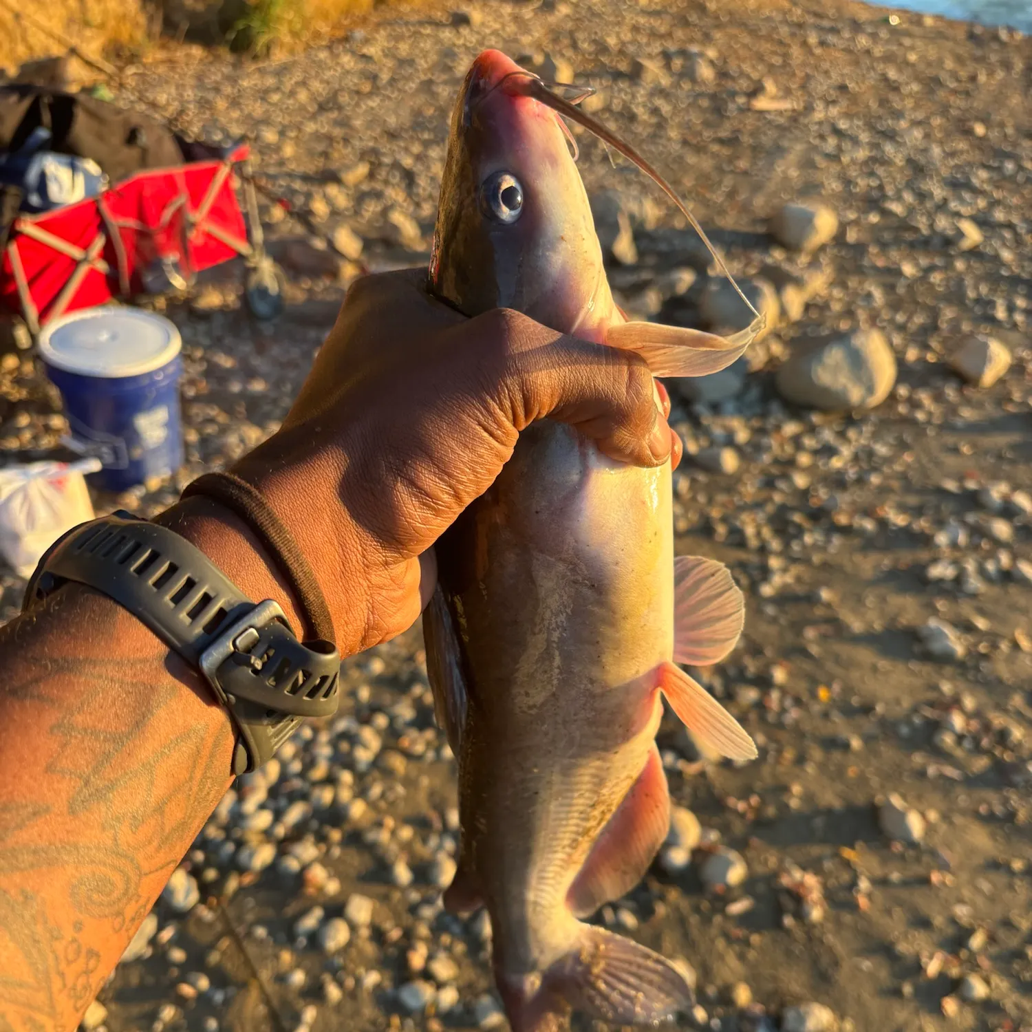 catch