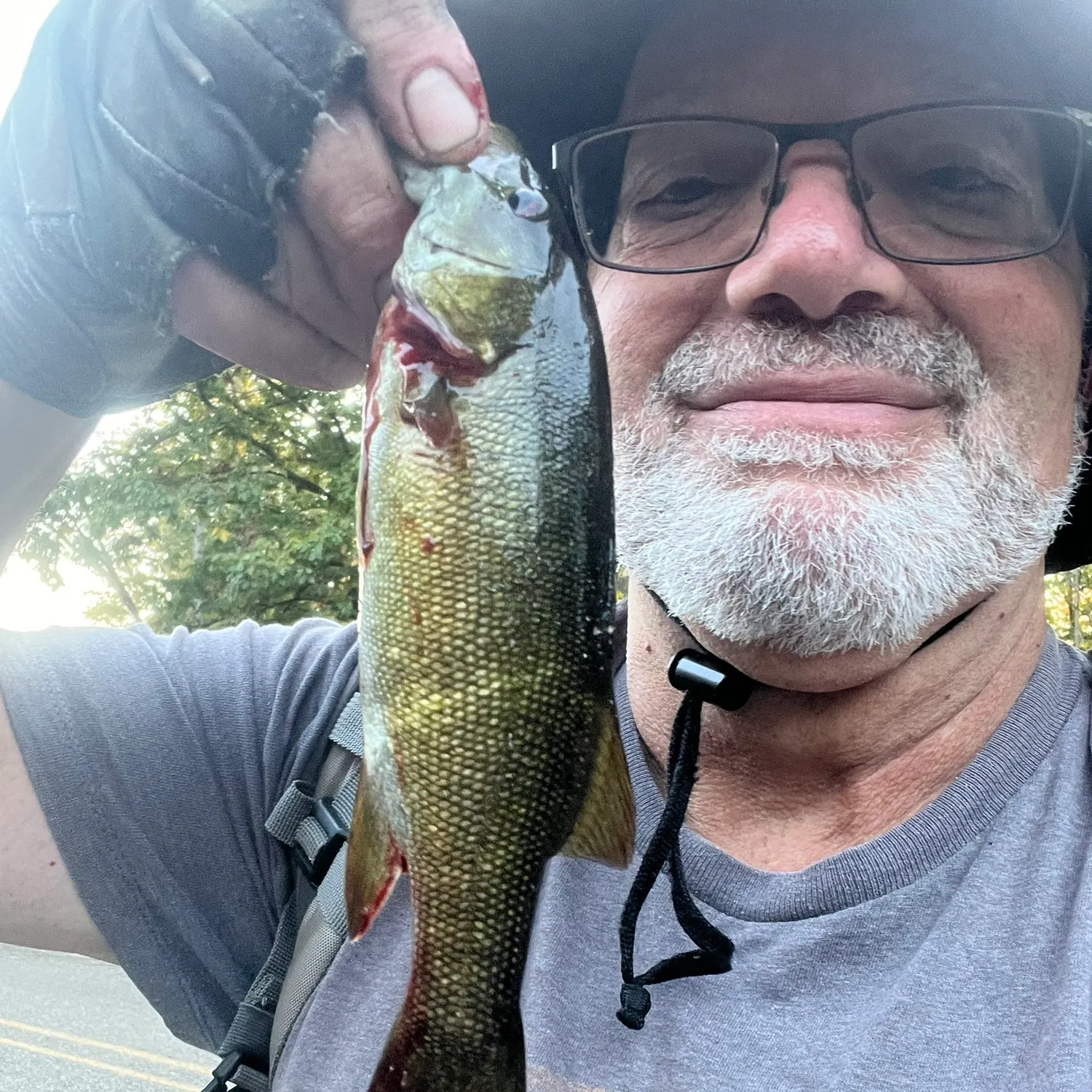 Smallmouth bass caught on Fishbrain