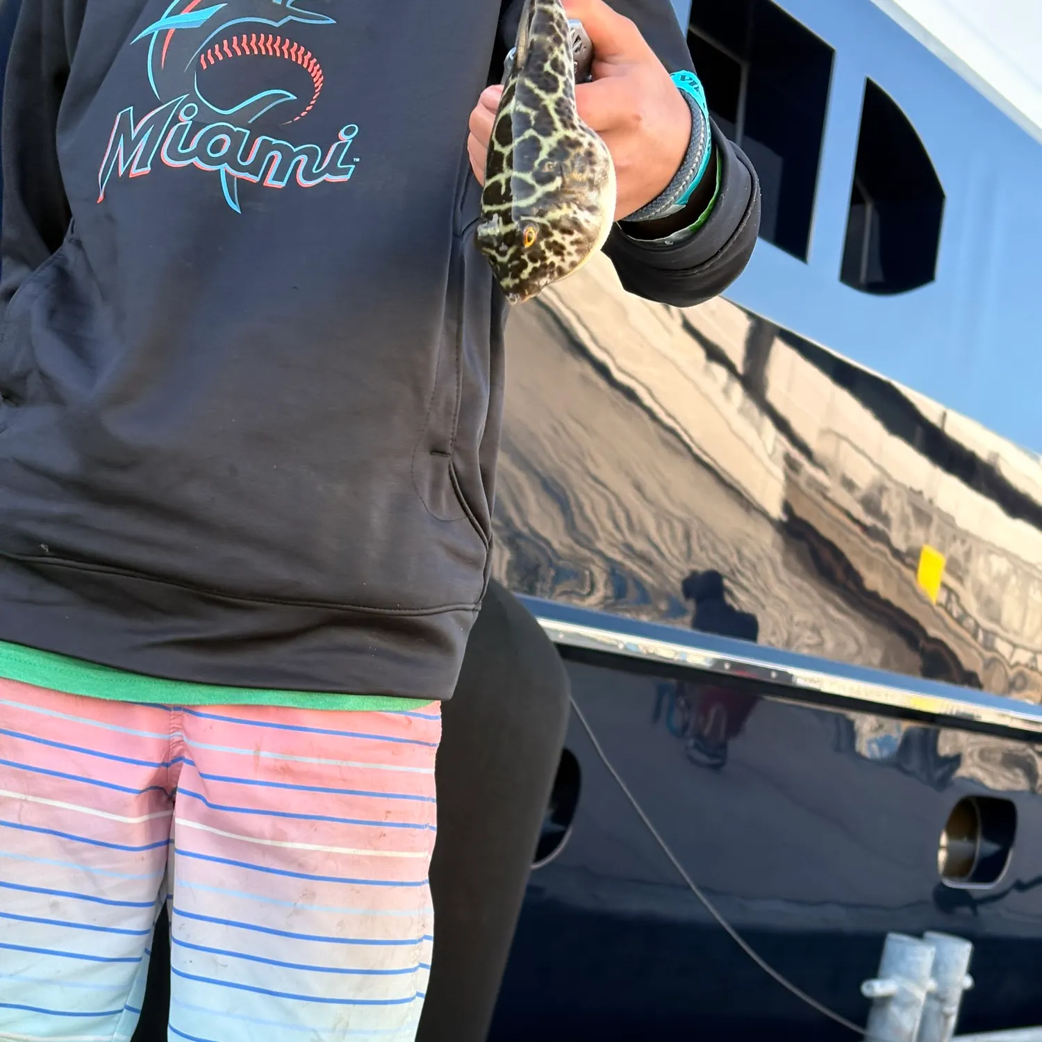 The most recent Southern puffer catches on Fishbrain