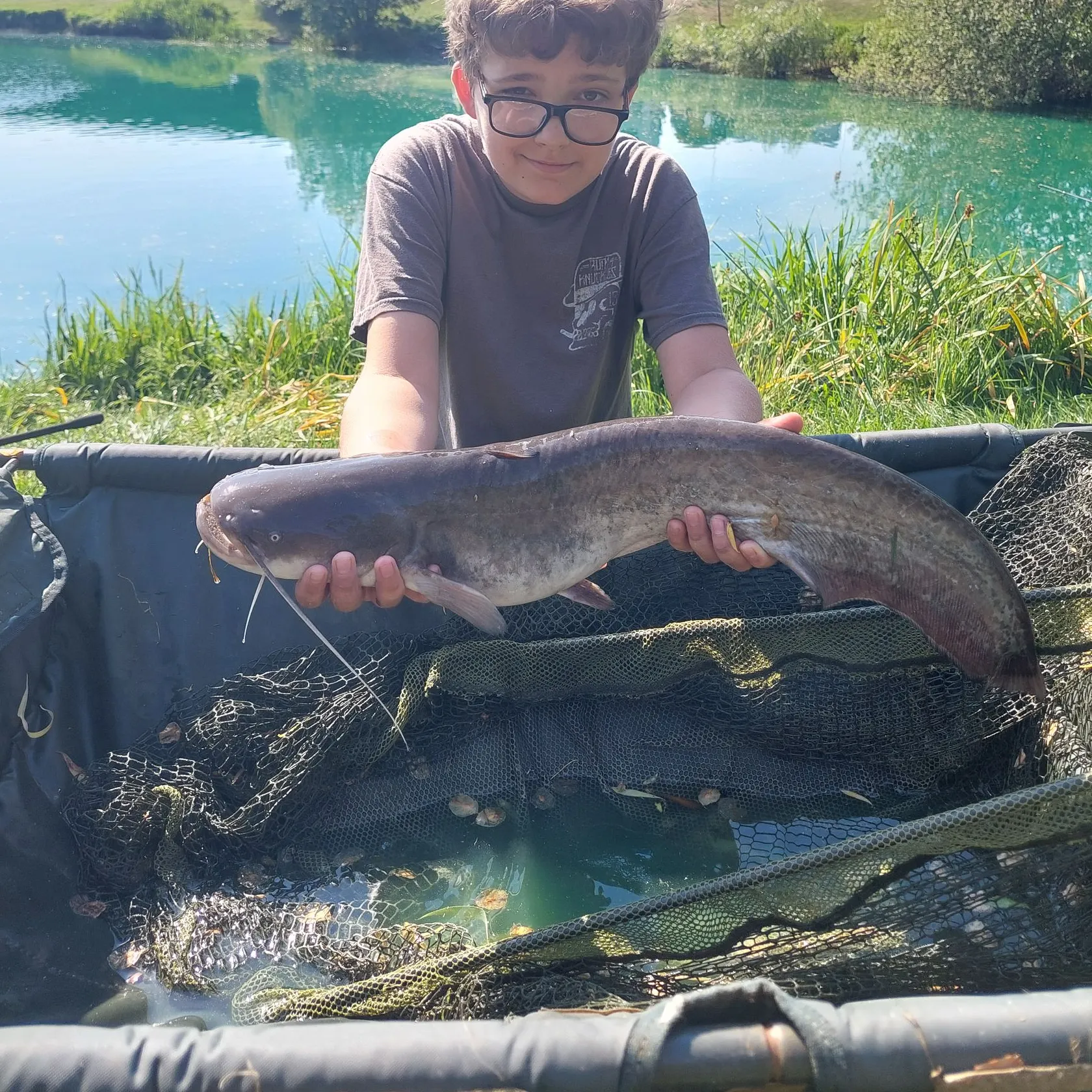 The most recent Wels catfish catches on Fishbrain