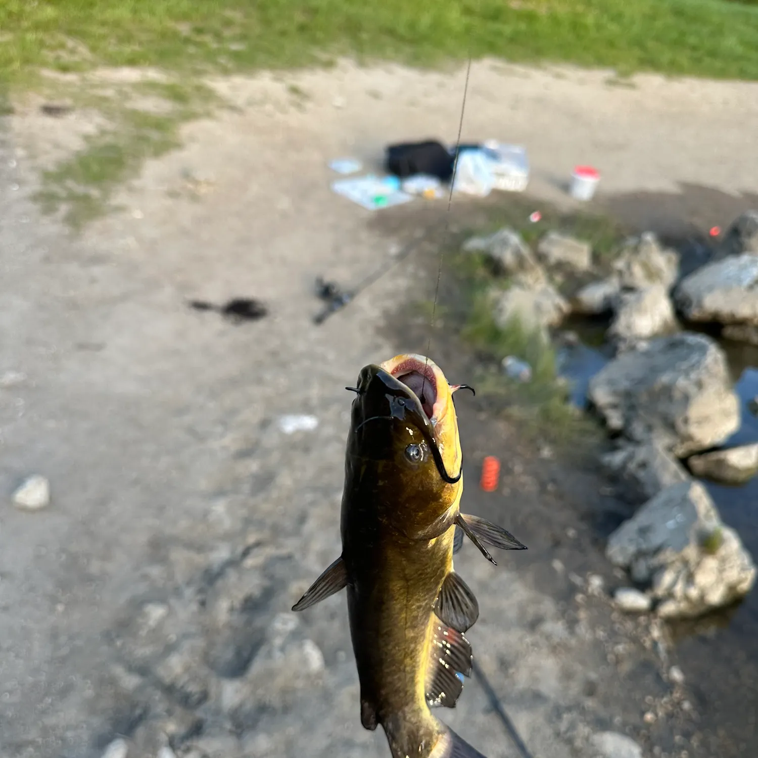 catch