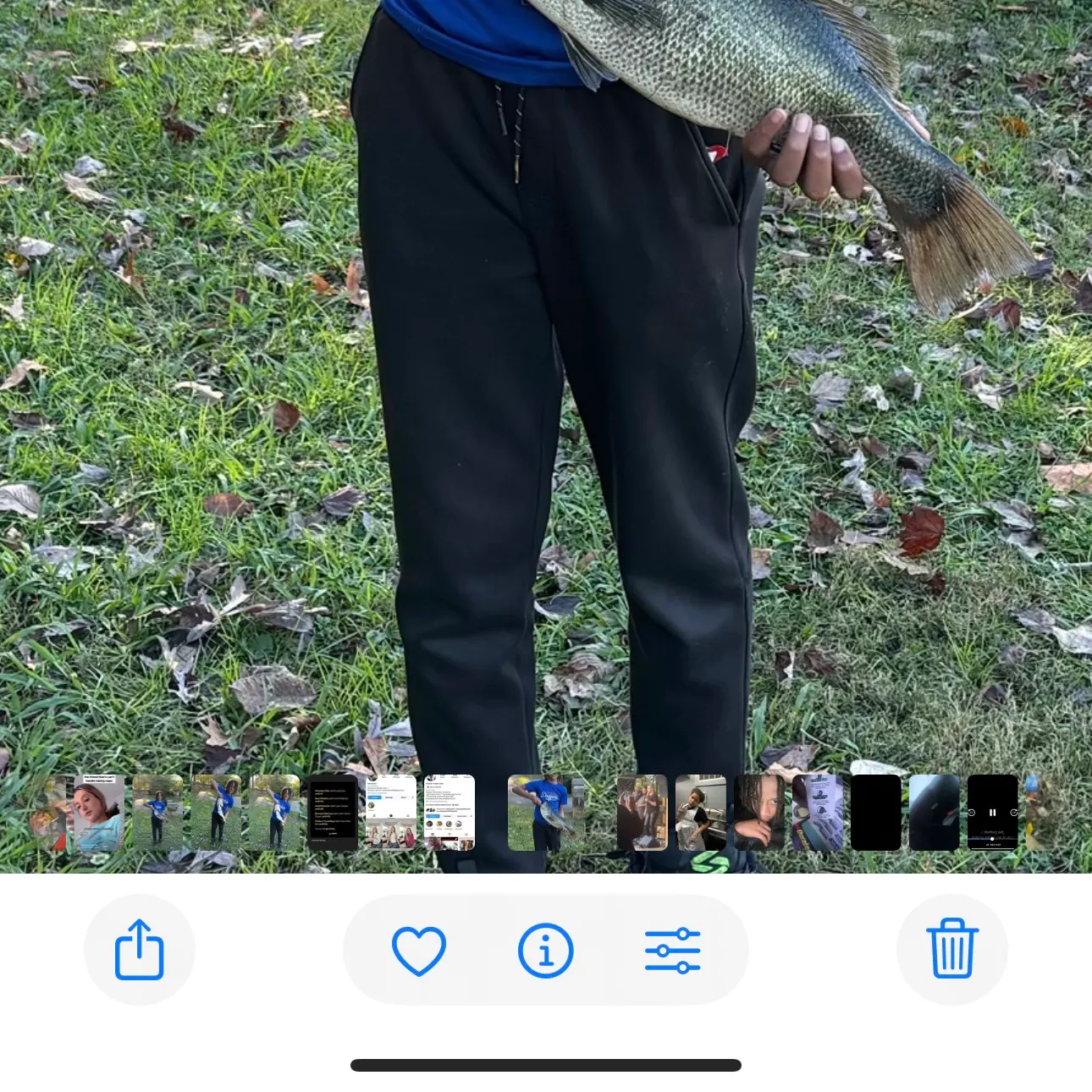 recently logged catches