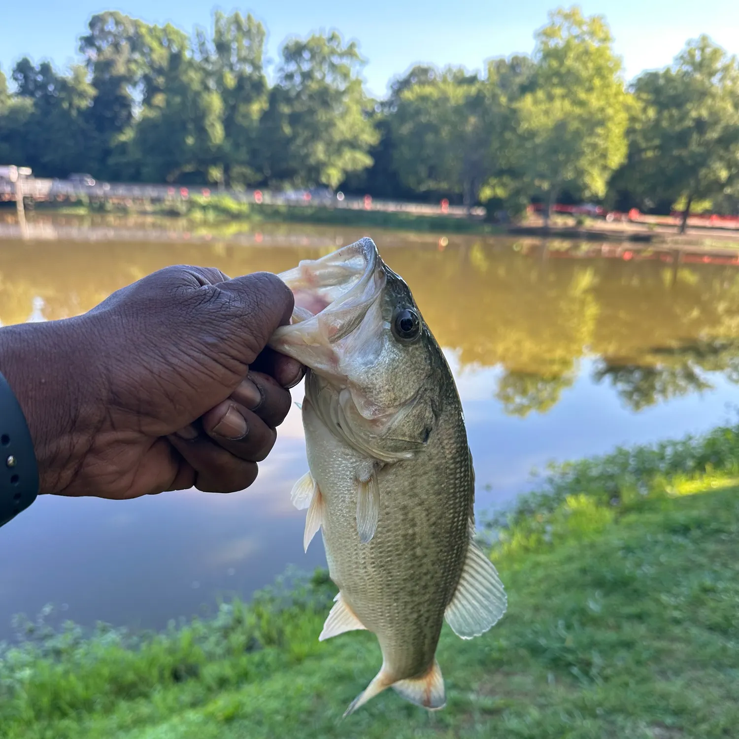 catch