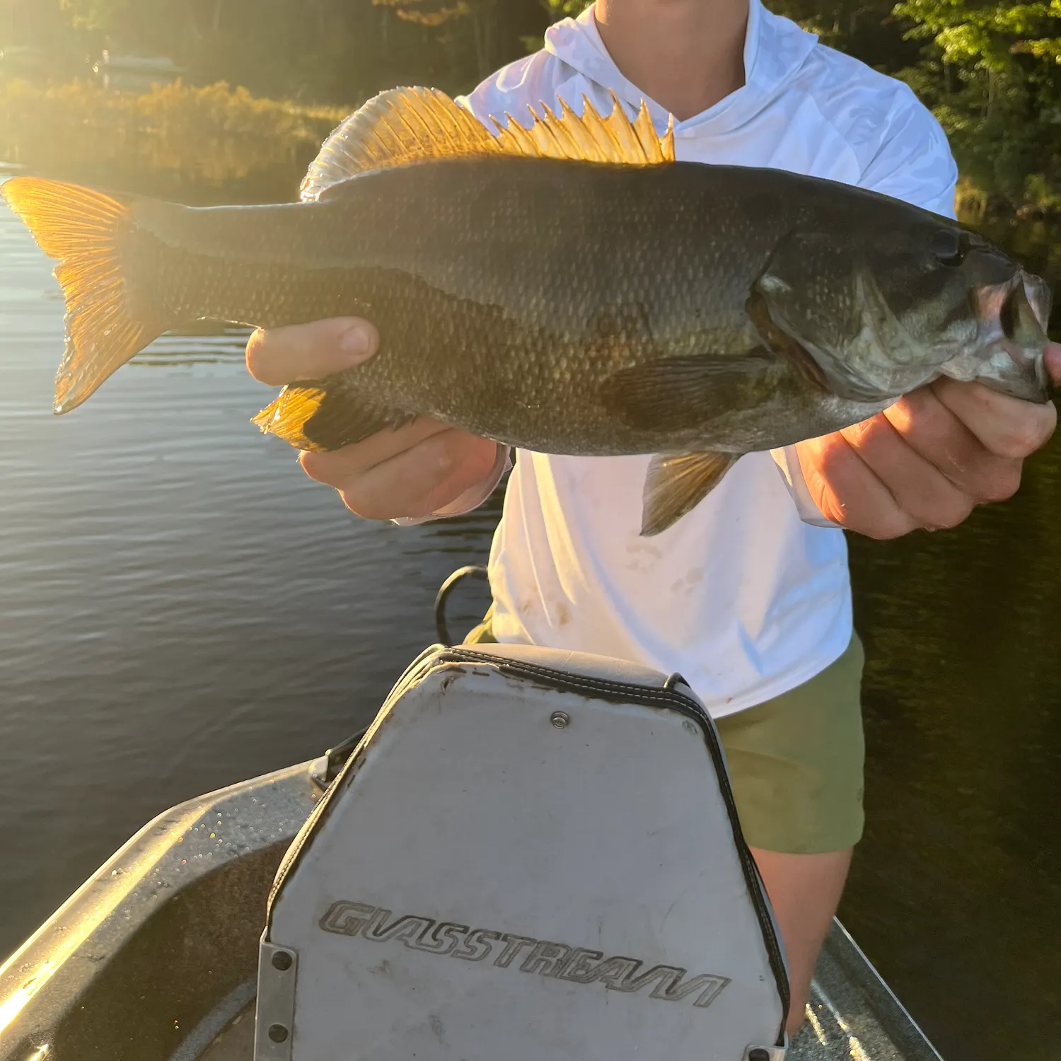 Smallmouth bass caught on Fishbrain