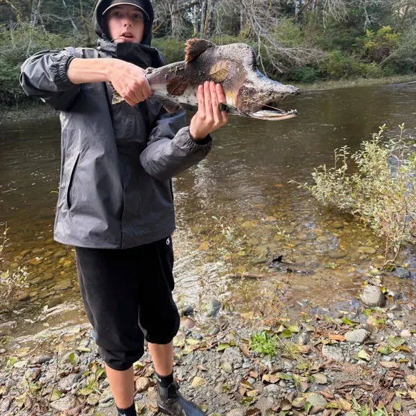 Pink salmon caught on Fishbrain