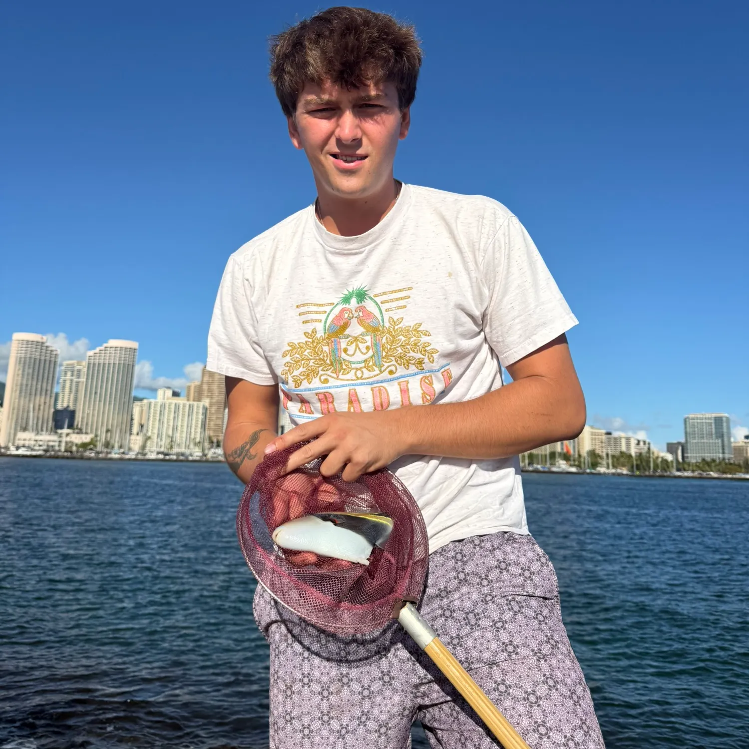 Wedge-tail triggerfish caught on Fishbrain