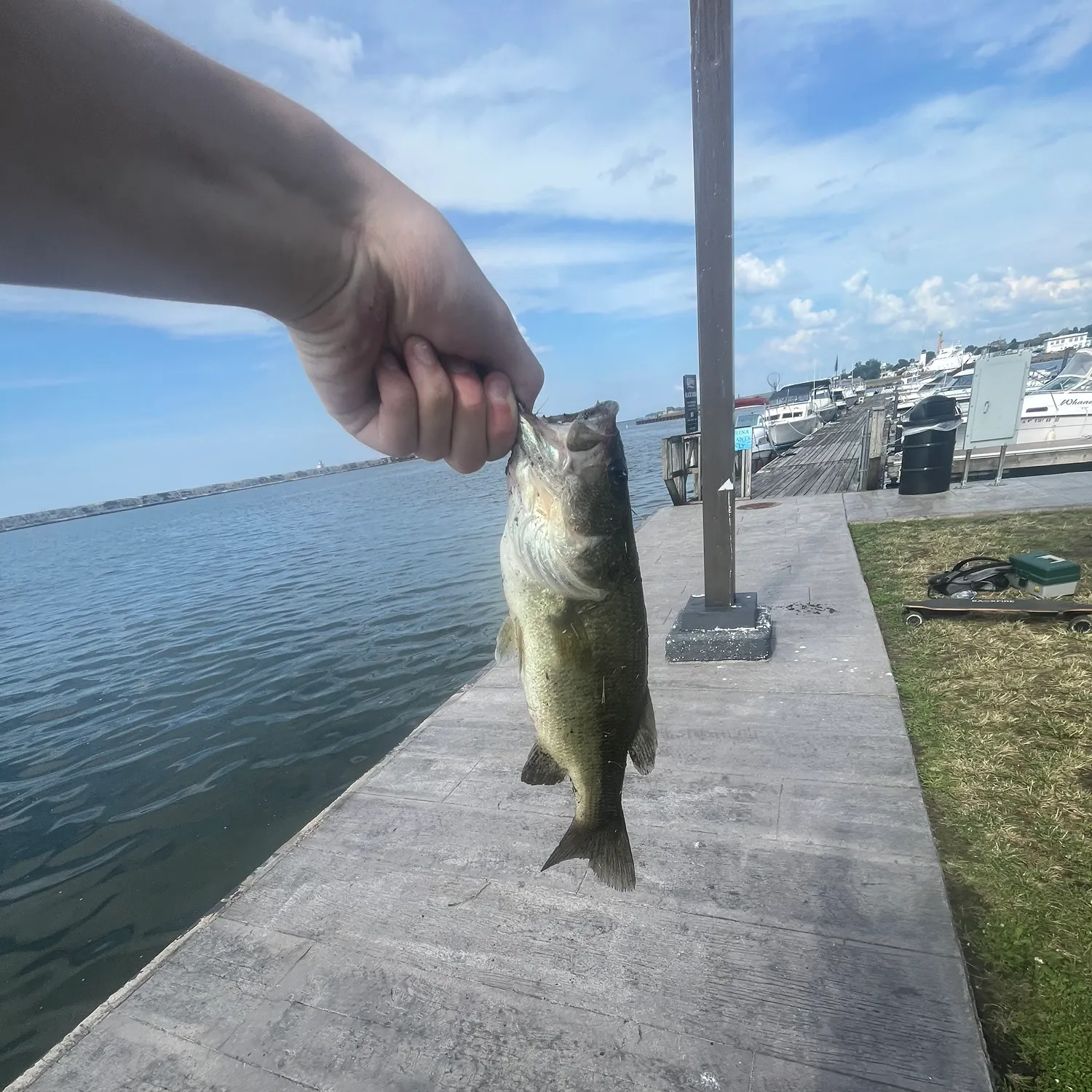 catch