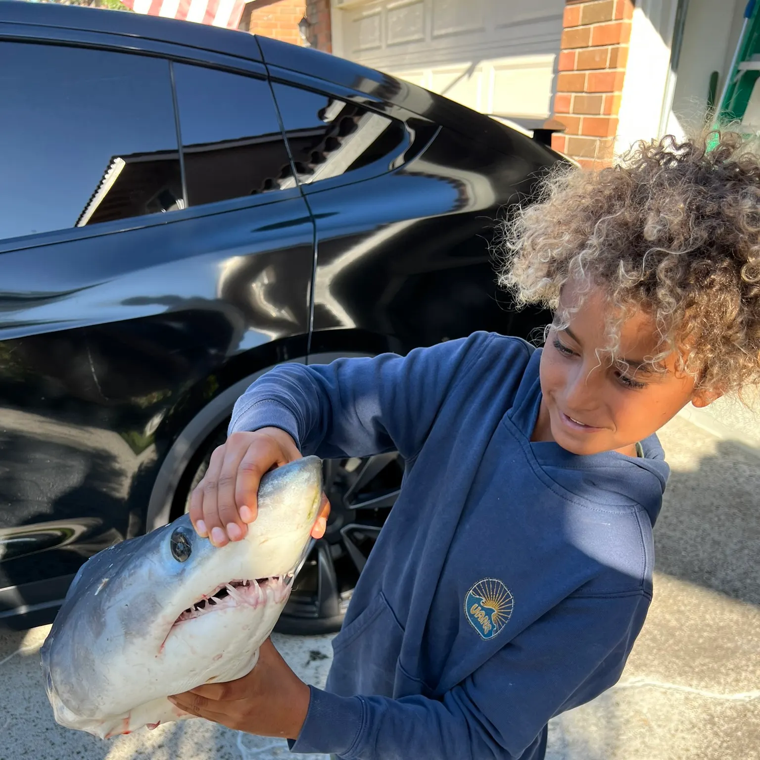 The most recent Longfin mako shark catches on Fishbrain