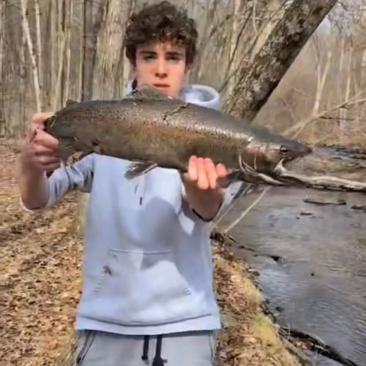 The most recent Steelhead catches on Fishbrain