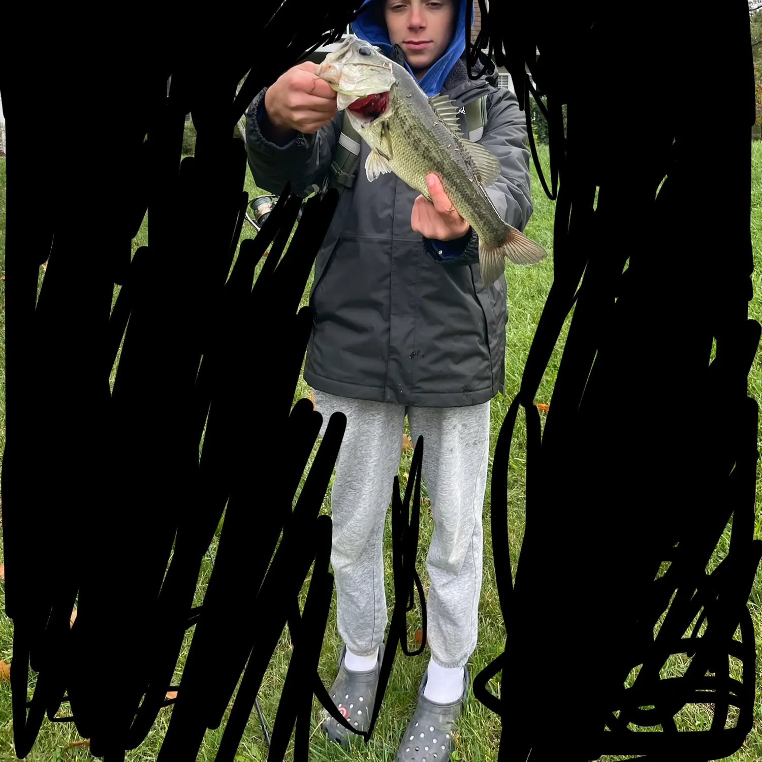Largemouth bass caught on Fishbrain