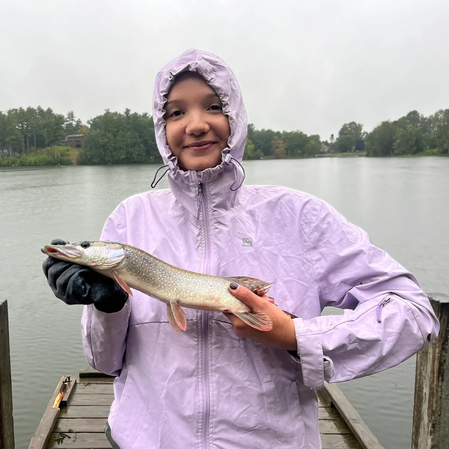 Northern pike caught on Fishbrain