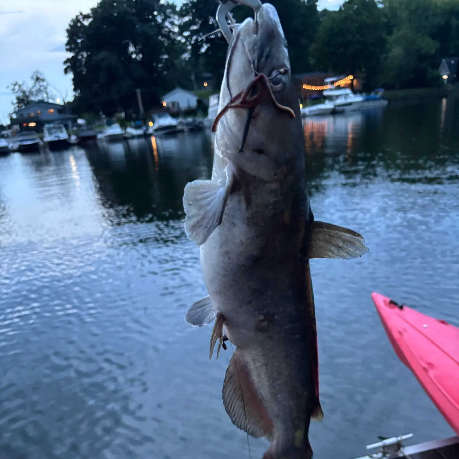 catch
