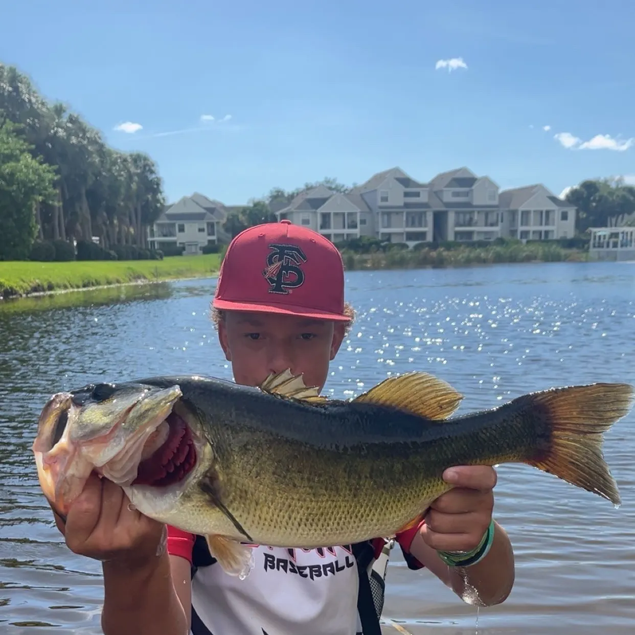 Largemouth bass caught on Fishbrain