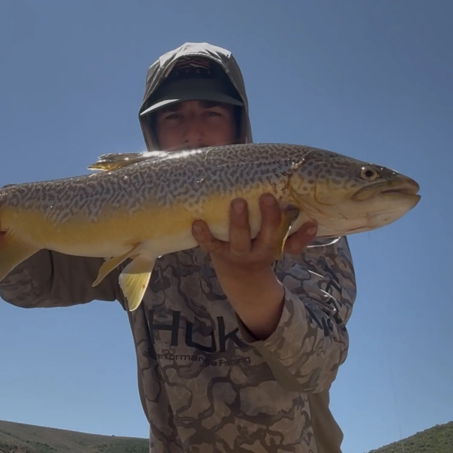 most liked catch image
