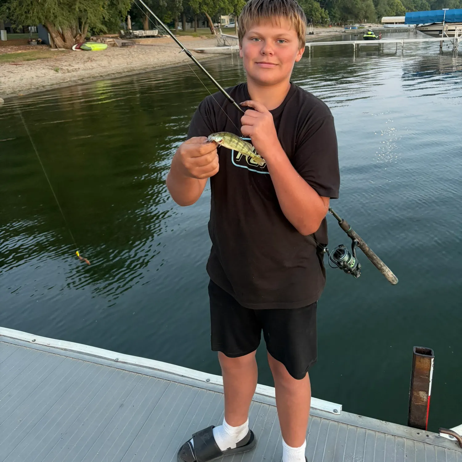 Yellow perch caught on Fishbrain