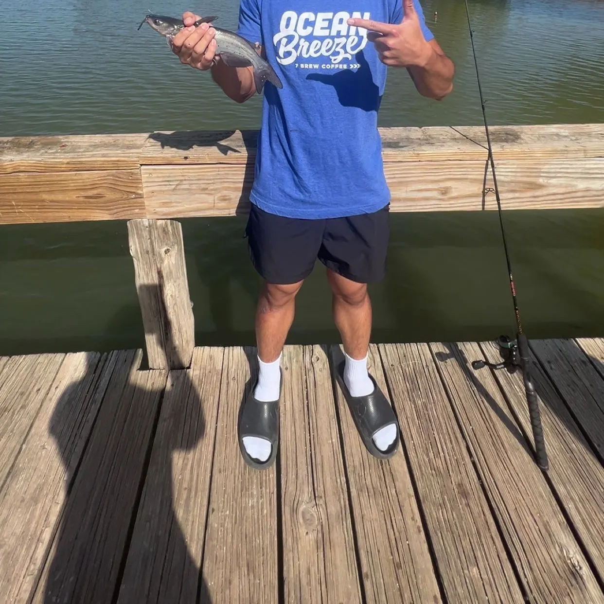 Channel catfish caught on Fishbrain