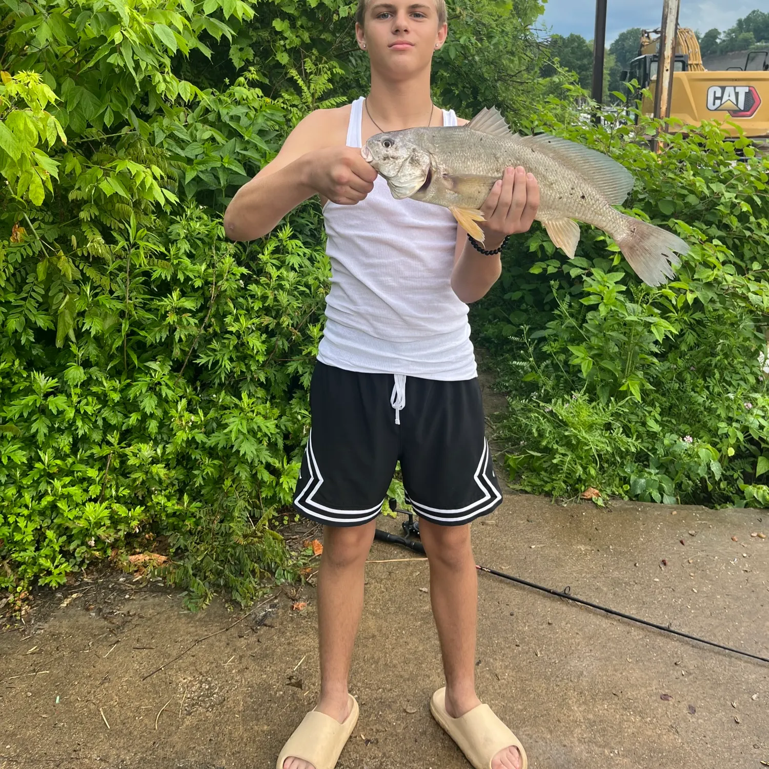 most liked catch image