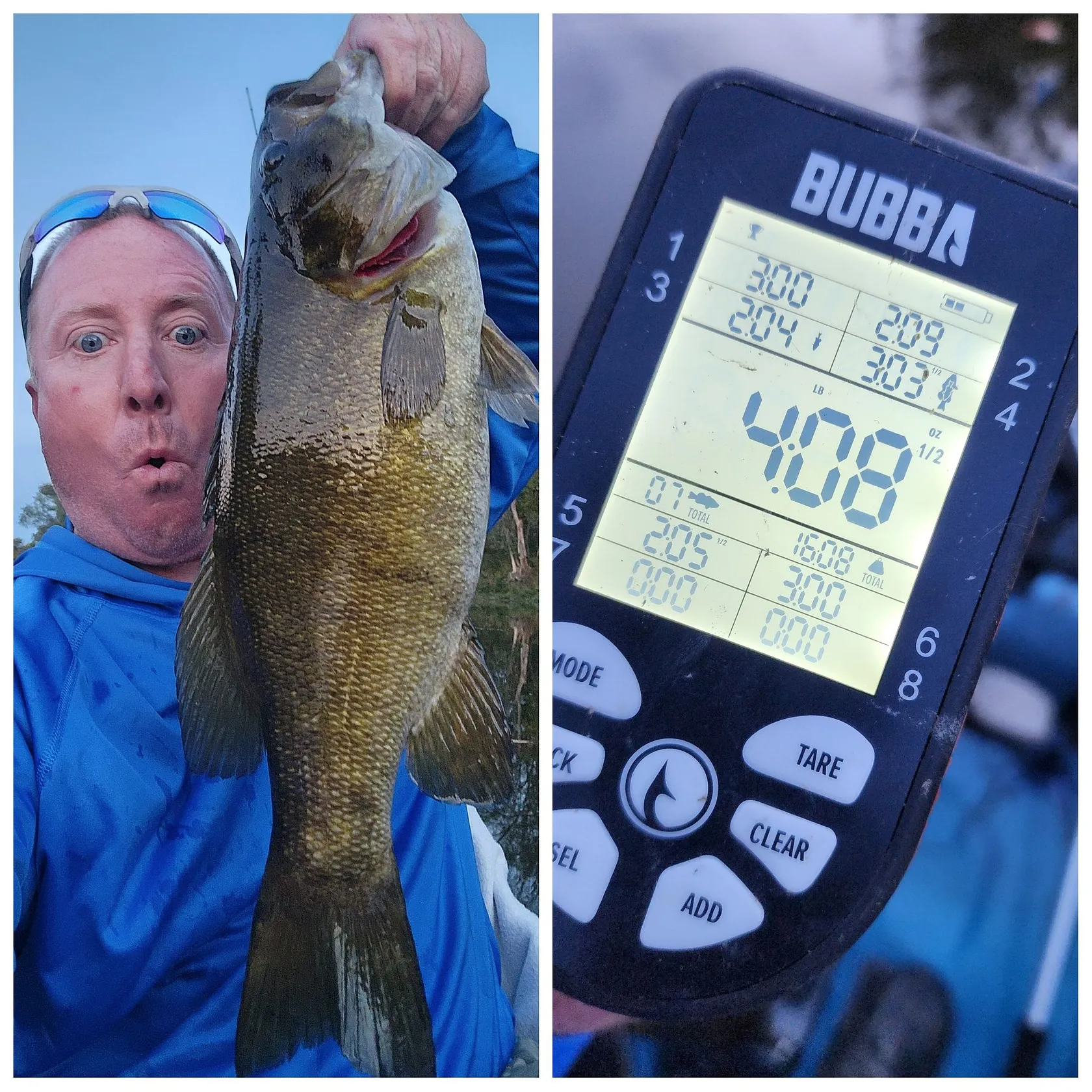 Smallmouth bass caught on Fishbrain