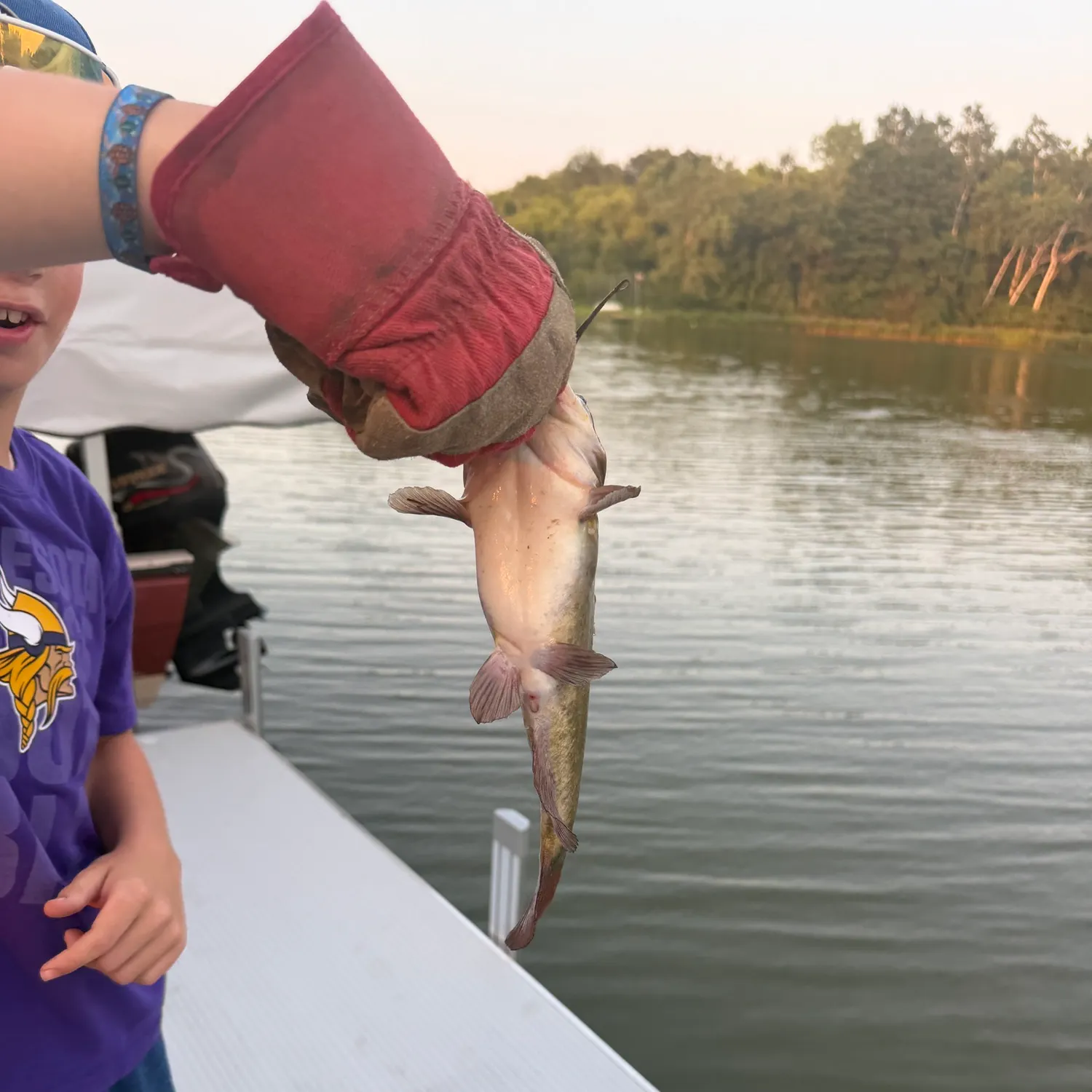 Black bullhead caught on Fishbrain