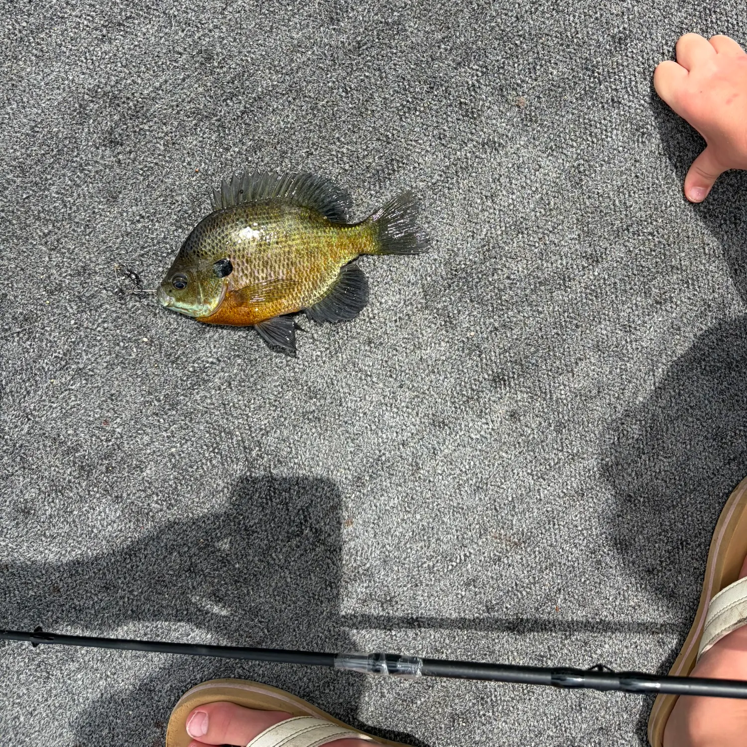 catch