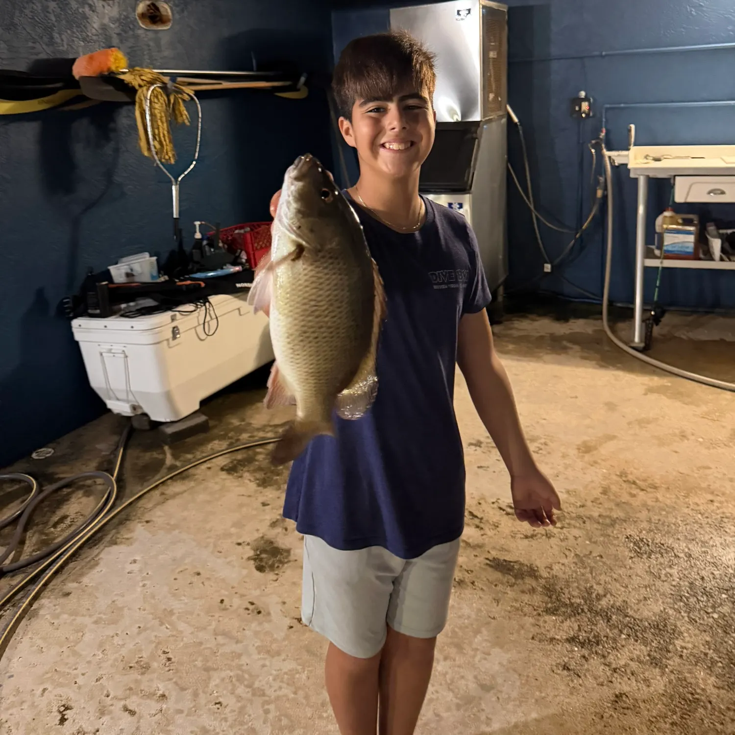 The most recent Mangrove snapper catches on Fishbrain