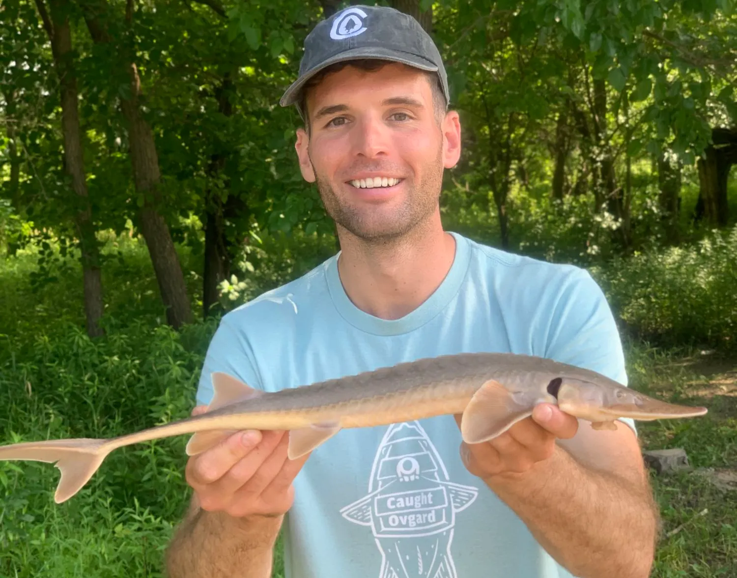 Shovelnose sturgeon