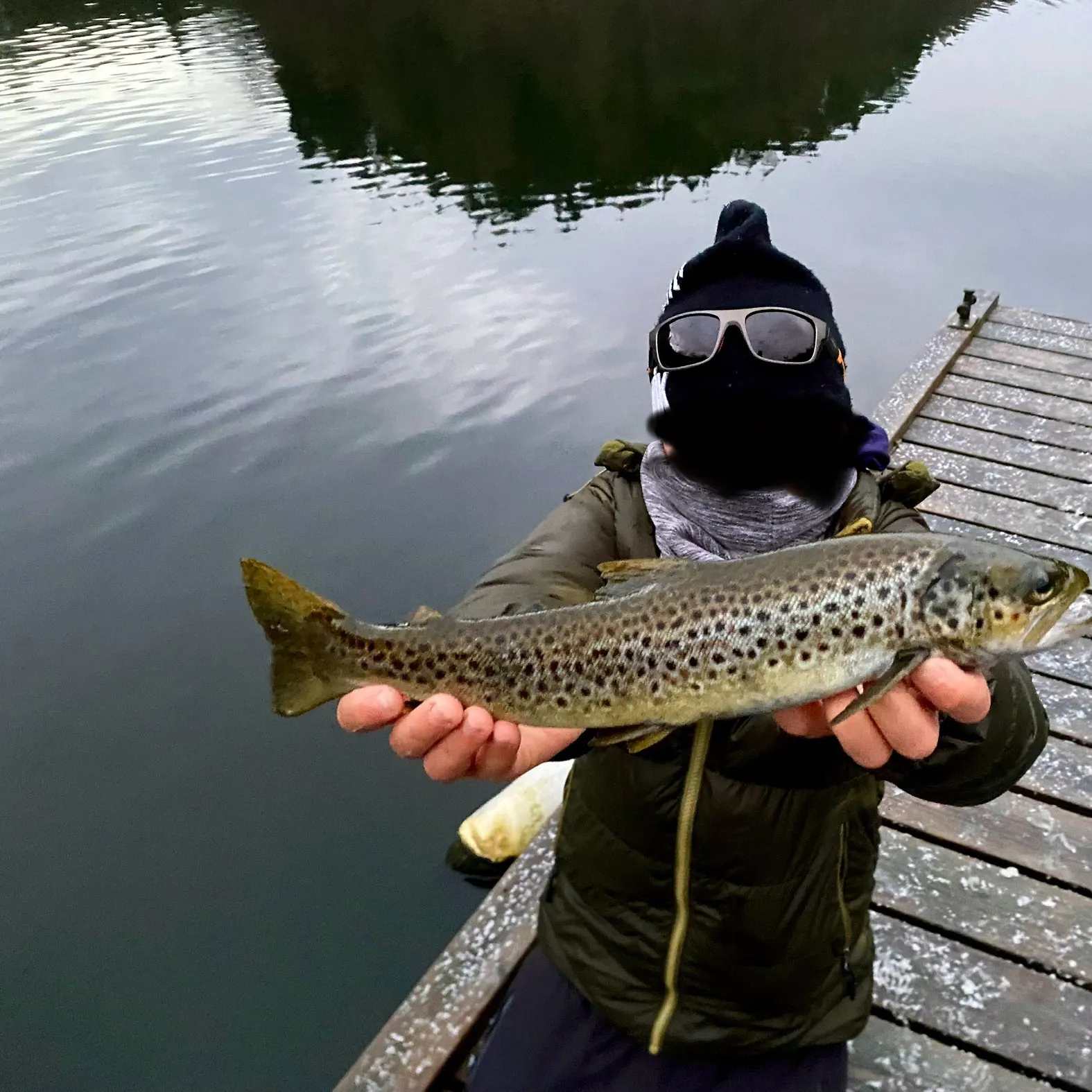 The most recent Sea trout catches on Fishbrain