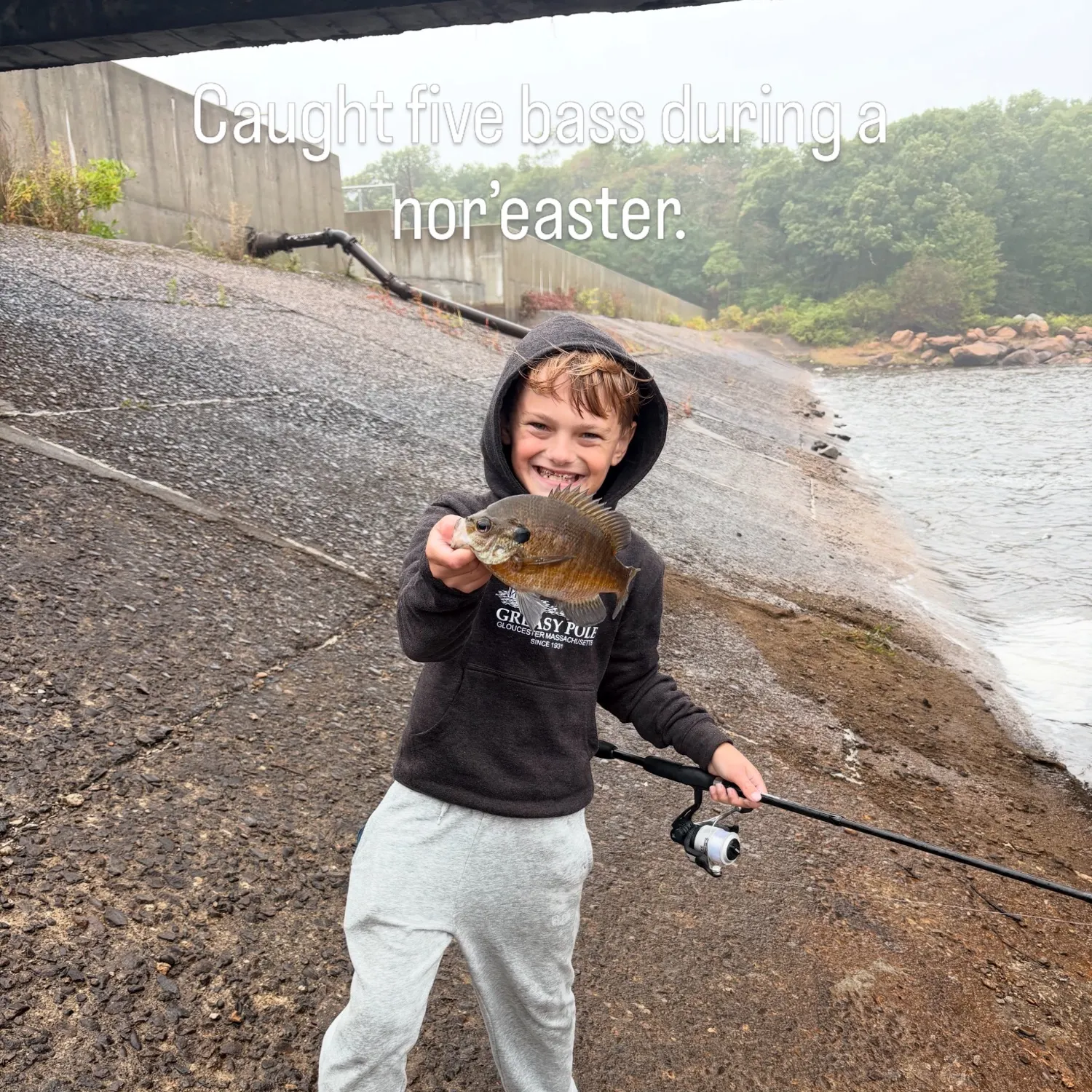 Bluegill caught on Fishbrain