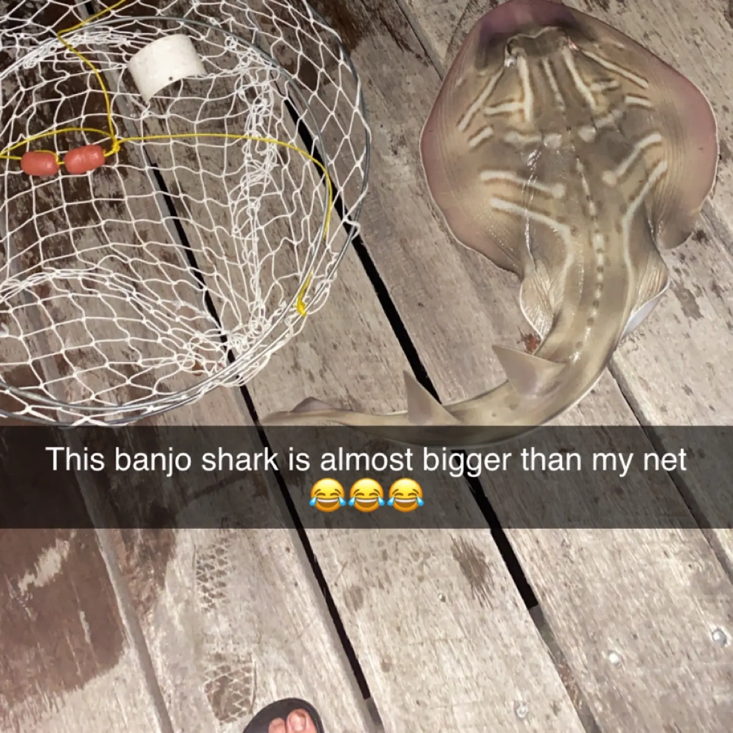 angler catch