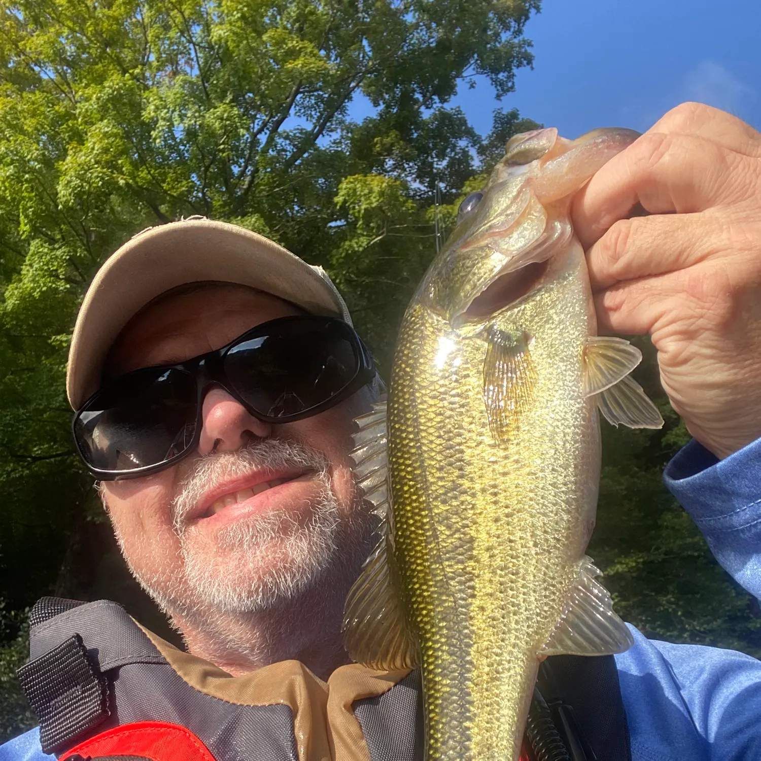 Largemouth bass caught on Fishbrain