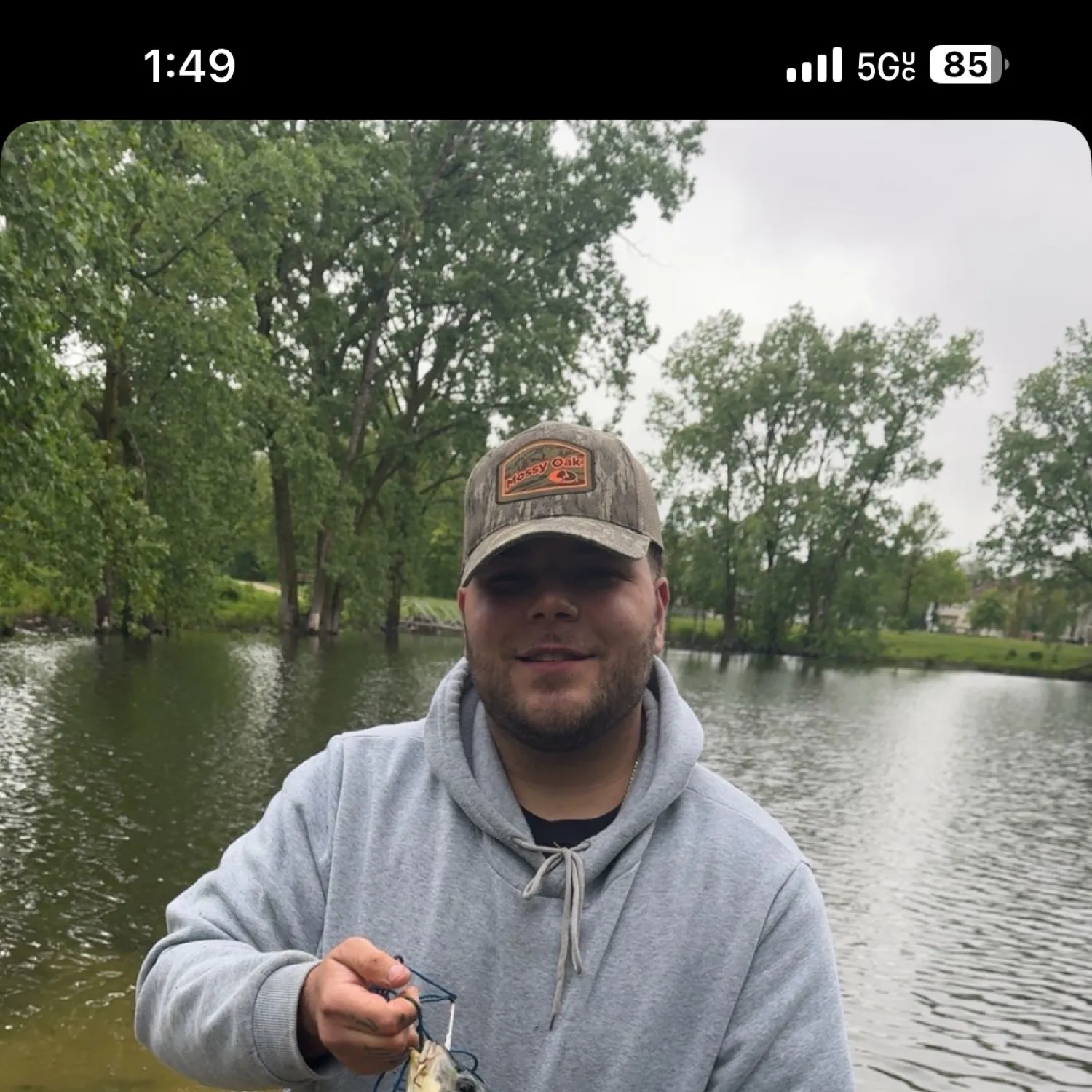 The most recent Koi carp catches on Fishbrain